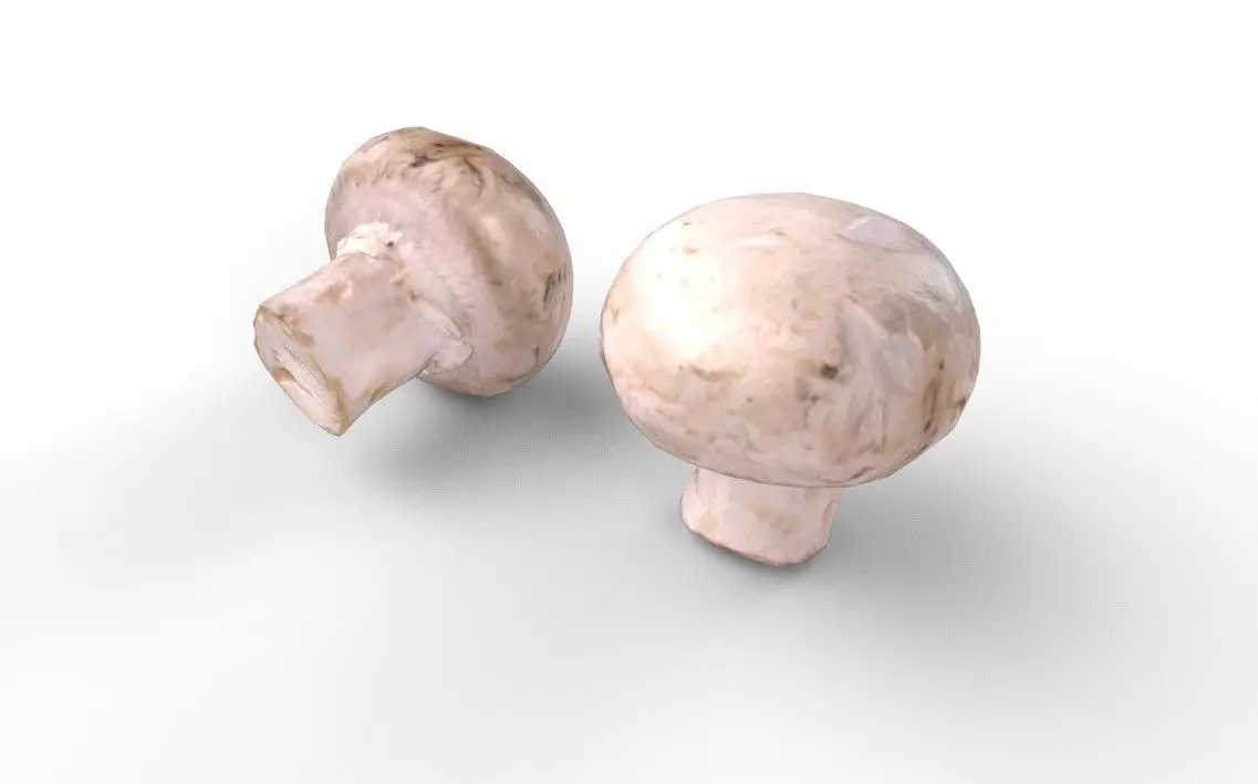 Mushroom M07 Low-poly 3D model_5