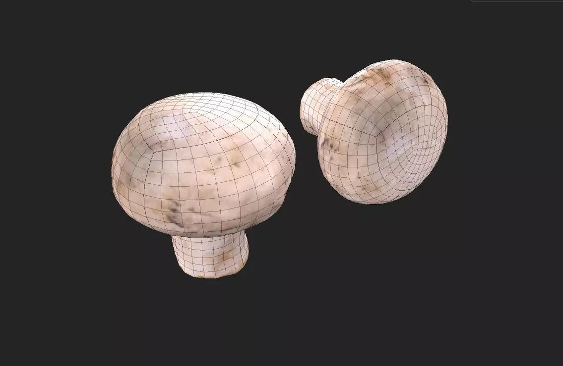 Mushroom M07 Low-poly 3D model_1