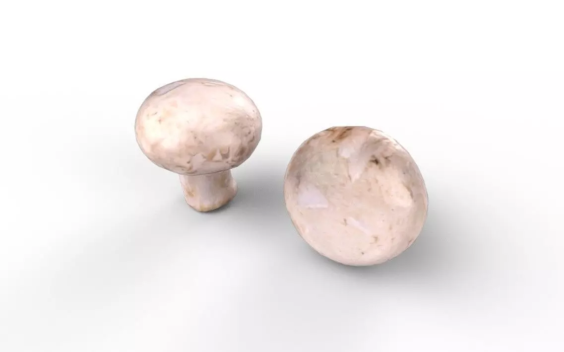 Mushroom M07 Low-poly 3D model_3