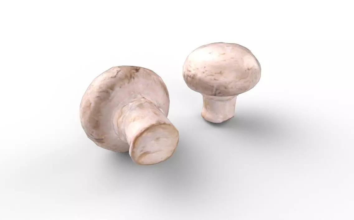 Mushroom M07 Low-poly 3D model_4