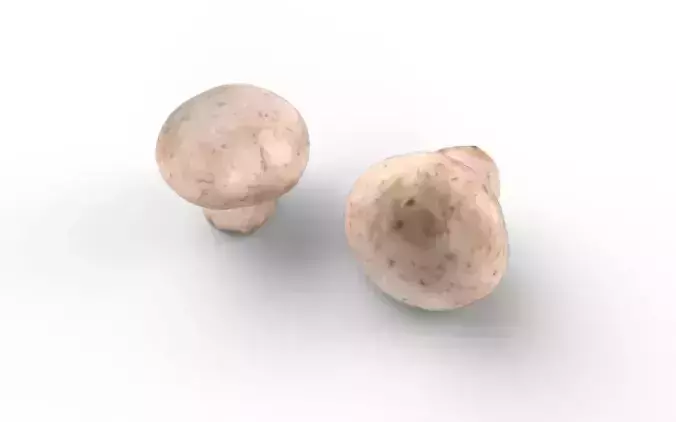 Mushroom  M09 Low-poly 3D model 4