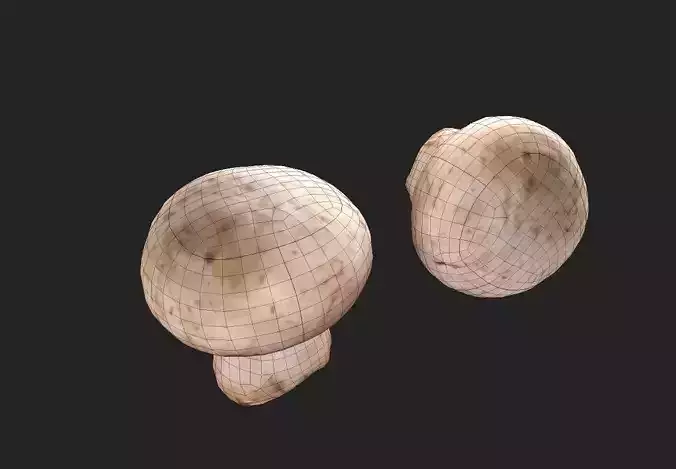 Mushroom  M09 Low-poly 3D model 2