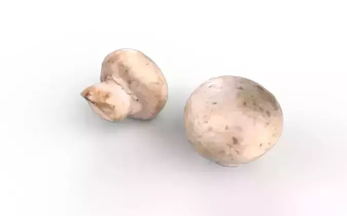Mushroom  M09 Low-poly 3D model 6