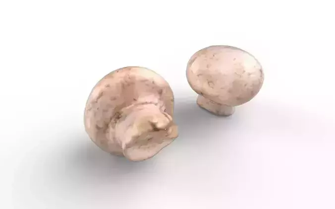 Mushroom  M09 Low-poly 3D model 5