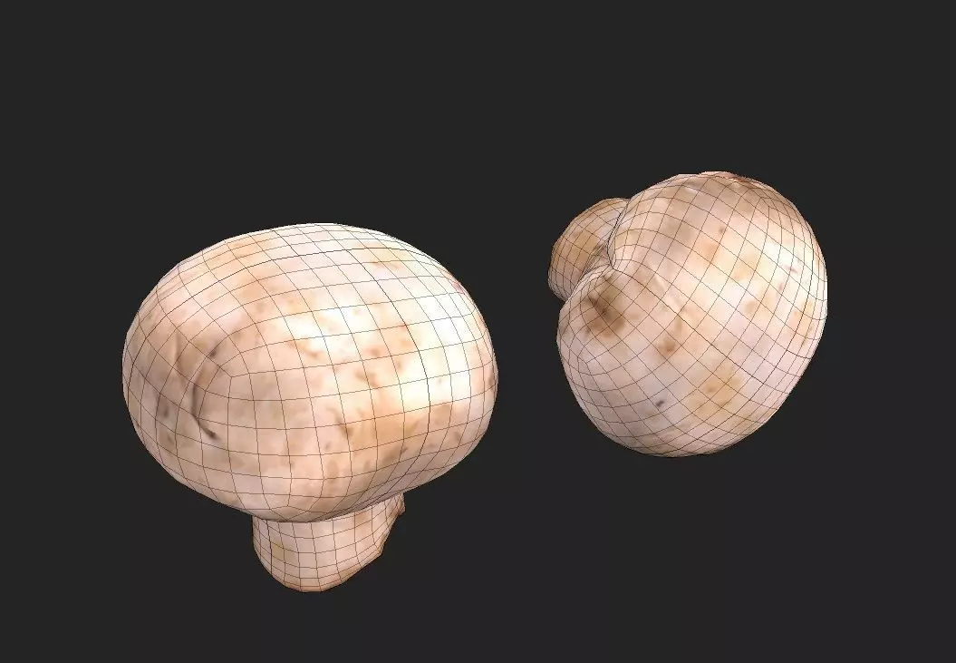 Mushroom M10 Low-poly 3D model_1