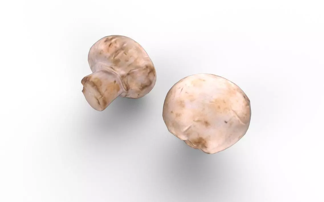 Mushroom M10 Low-poly 3D model_5