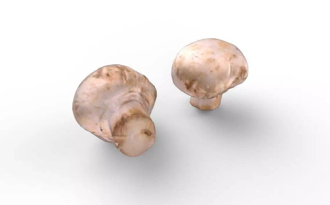 Mushroom M10 Low-poly 3D model_4