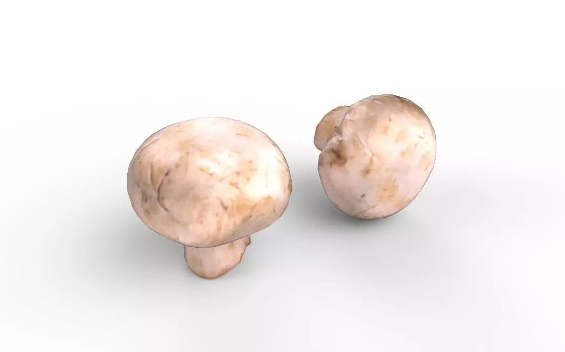 Mushroom M10 Low-poly 3D model_0