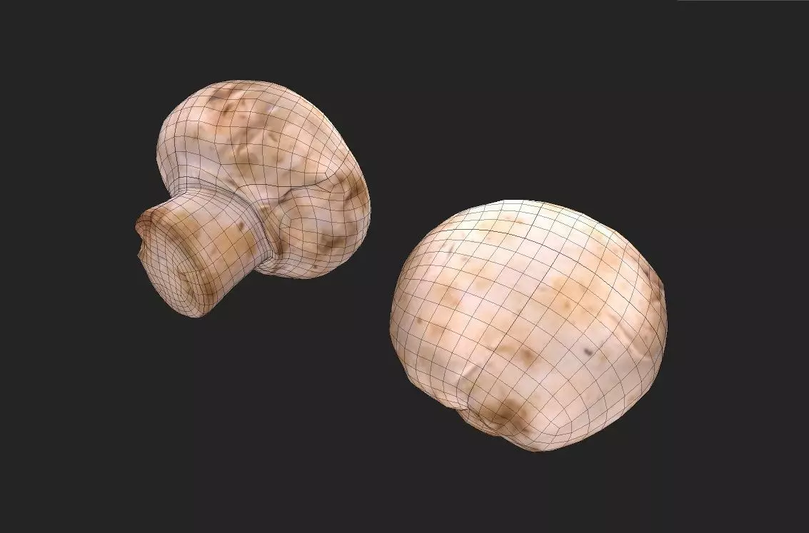 Mushroom M10 Low-poly 3D model_6