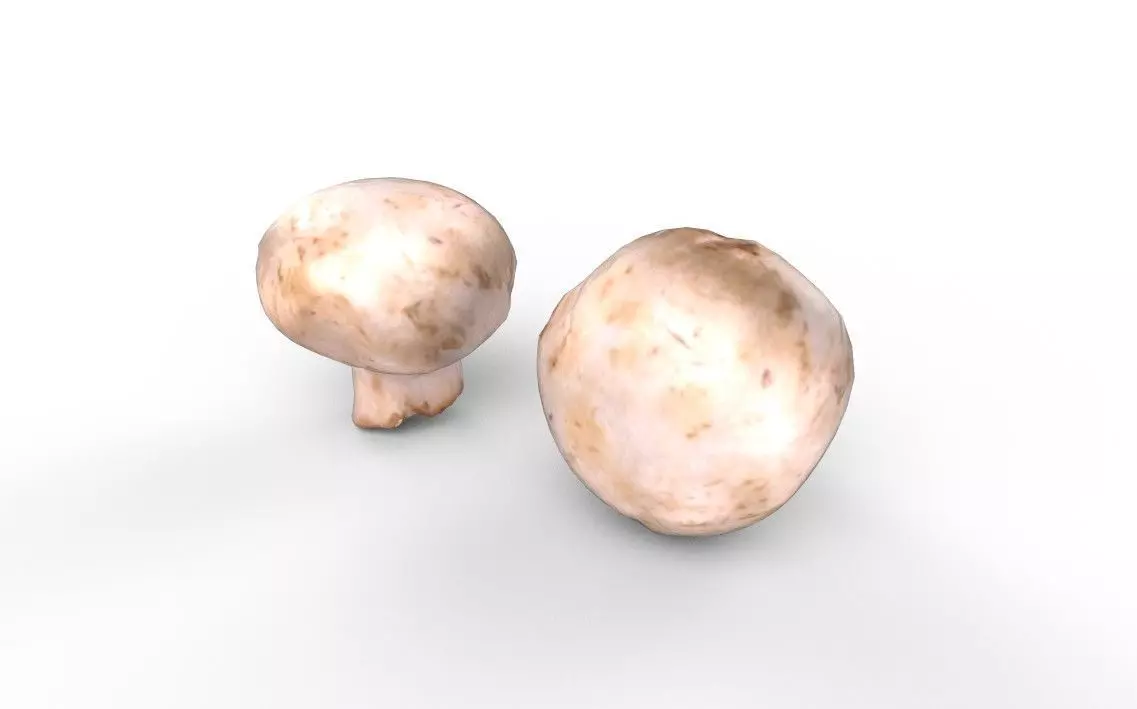 Mushroom M10 Low-poly 3D model_3