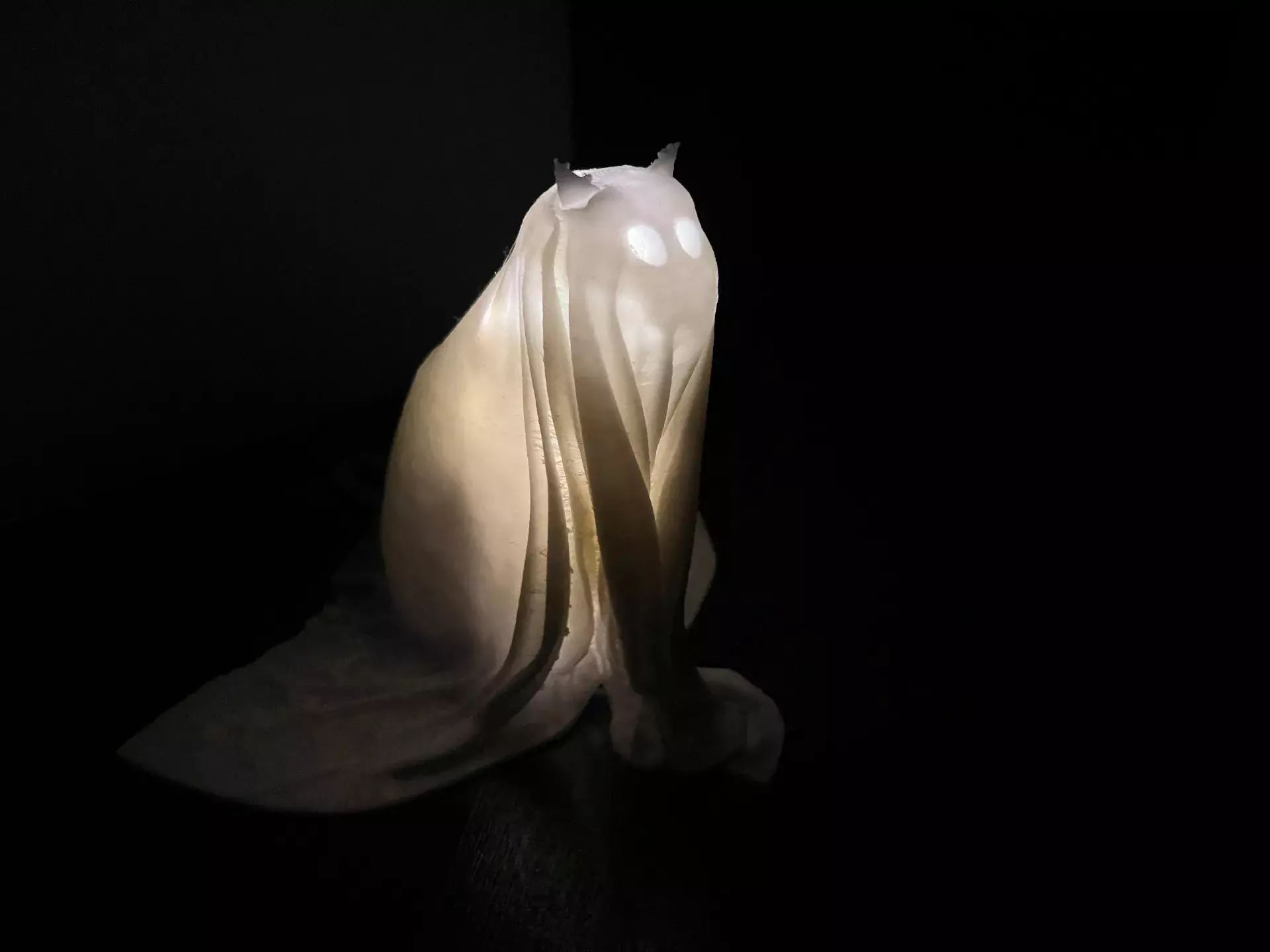 Ghost Cat Lantern STL  3D print model_4