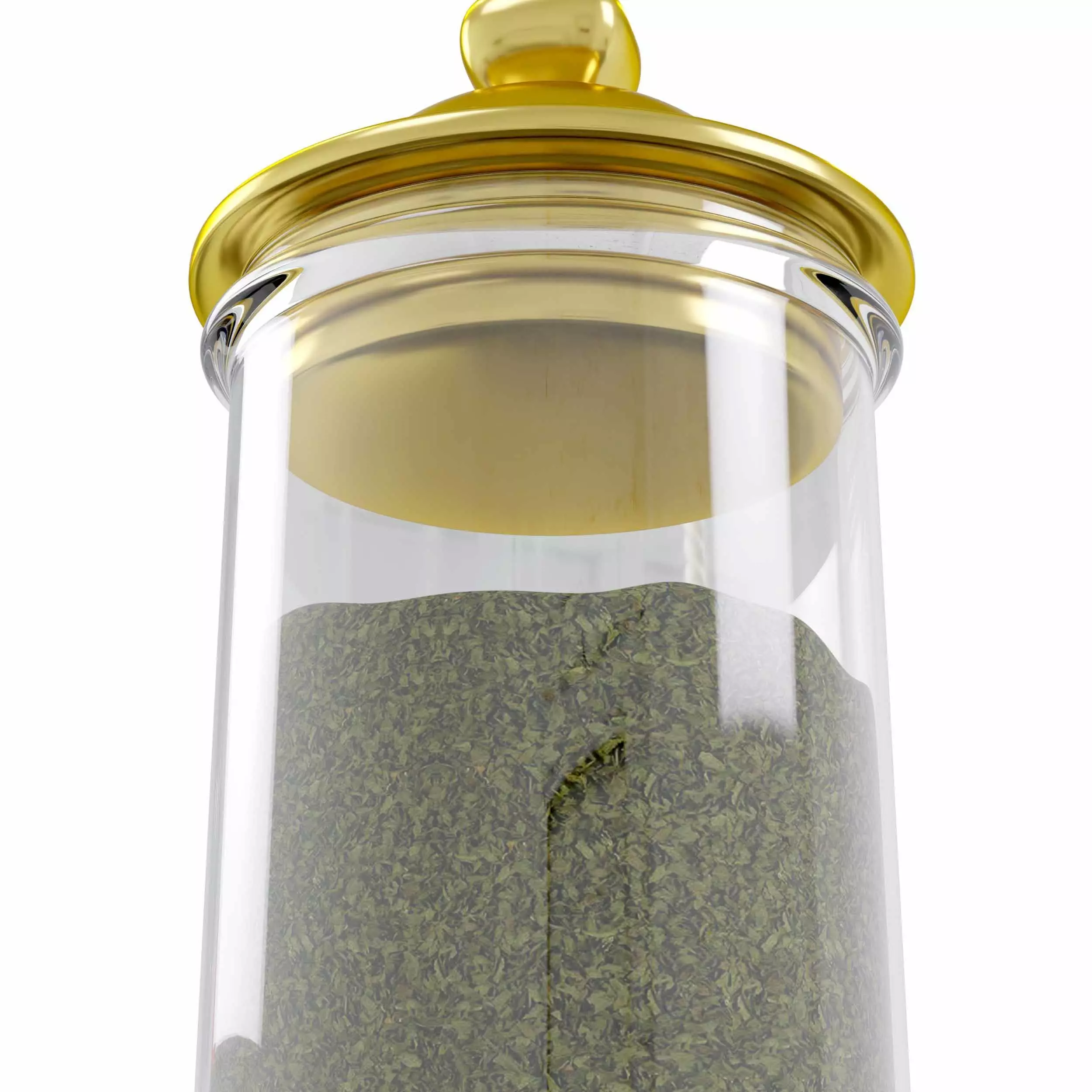 Basilica Free 3D model_4