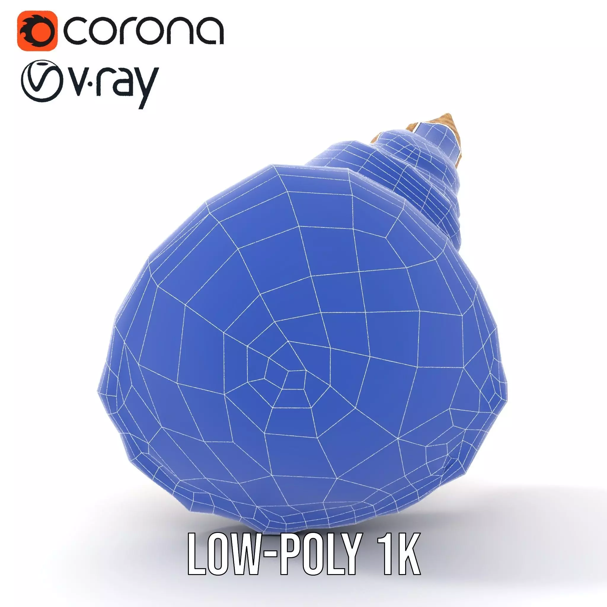 Textured Ocean Shell model pack Texture_31