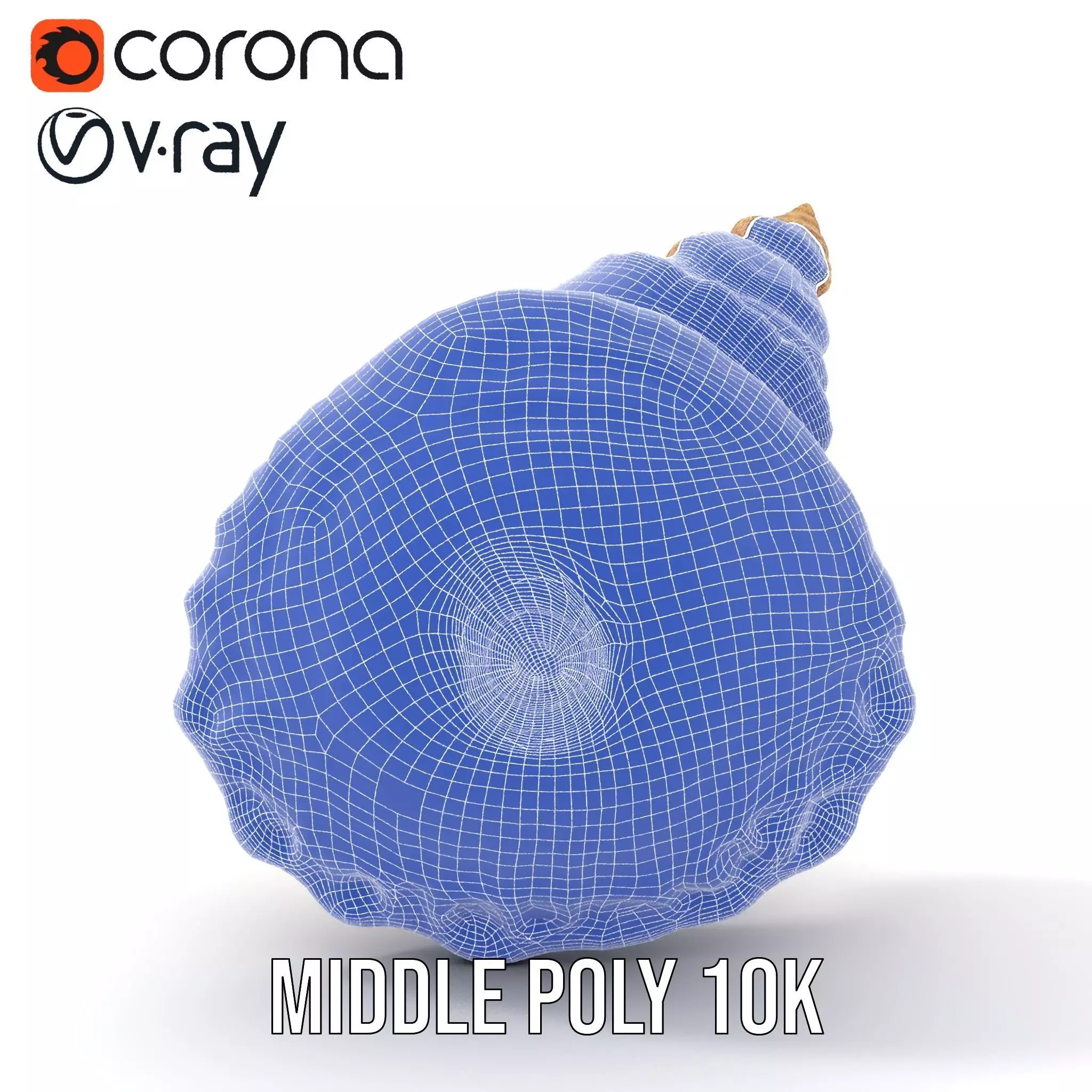 Textured Ocean Shell model pack Texture_24