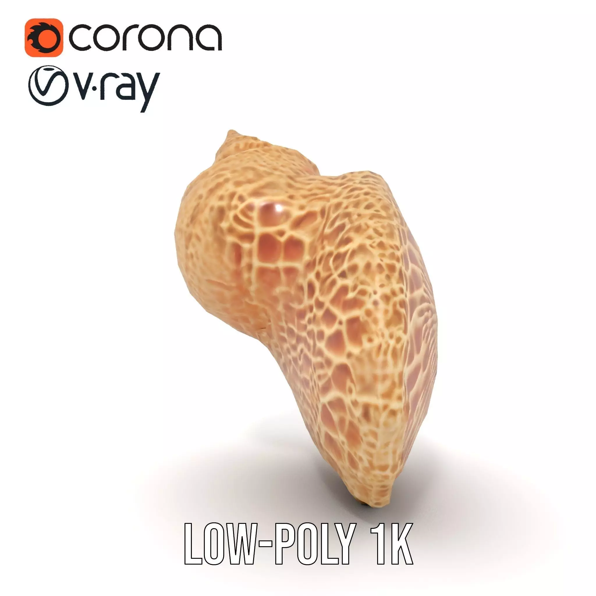 Textured Ocean Shell model pack Texture_13