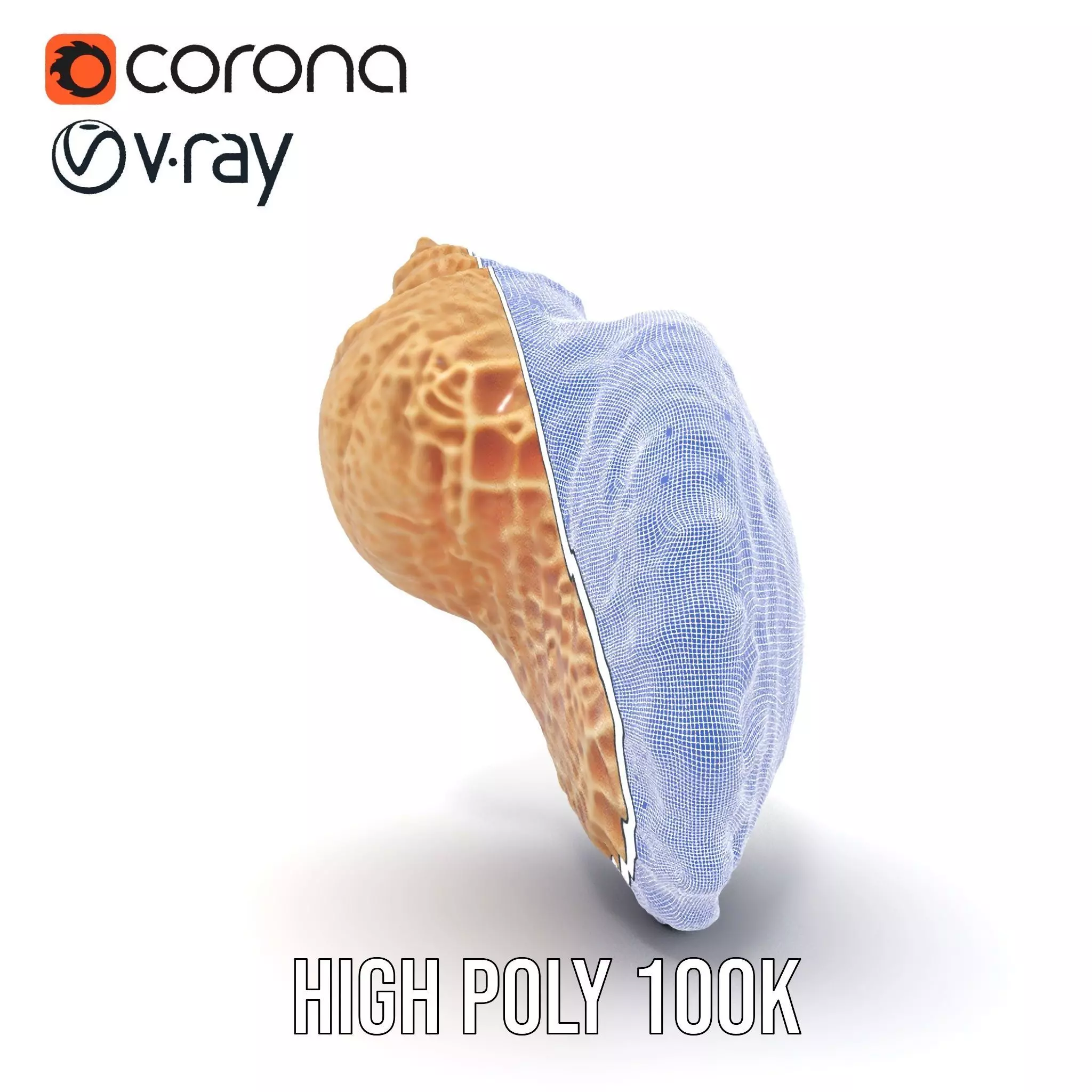 Textured Ocean Shell model pack Texture_35