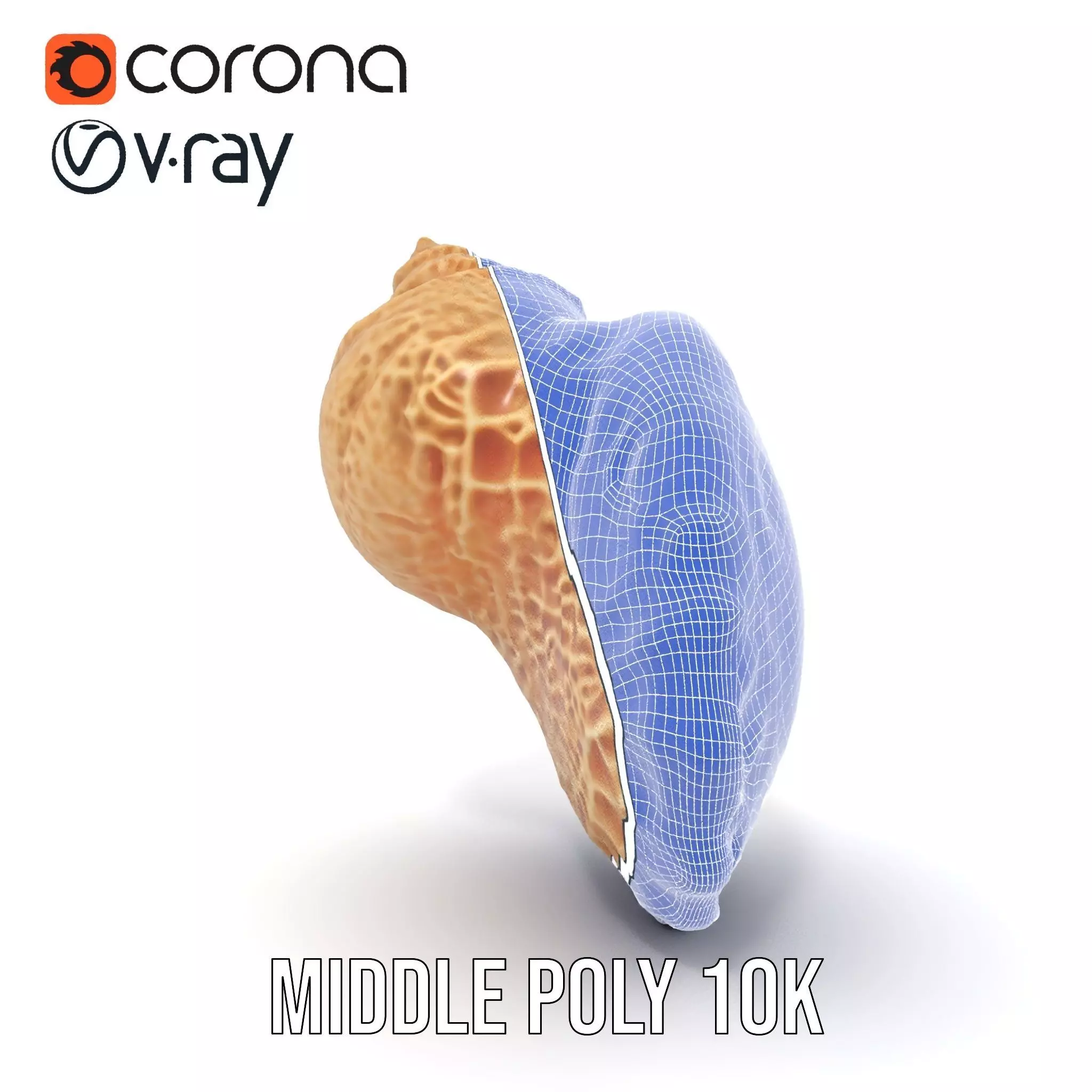 Textured Ocean Shell model pack Texture_27