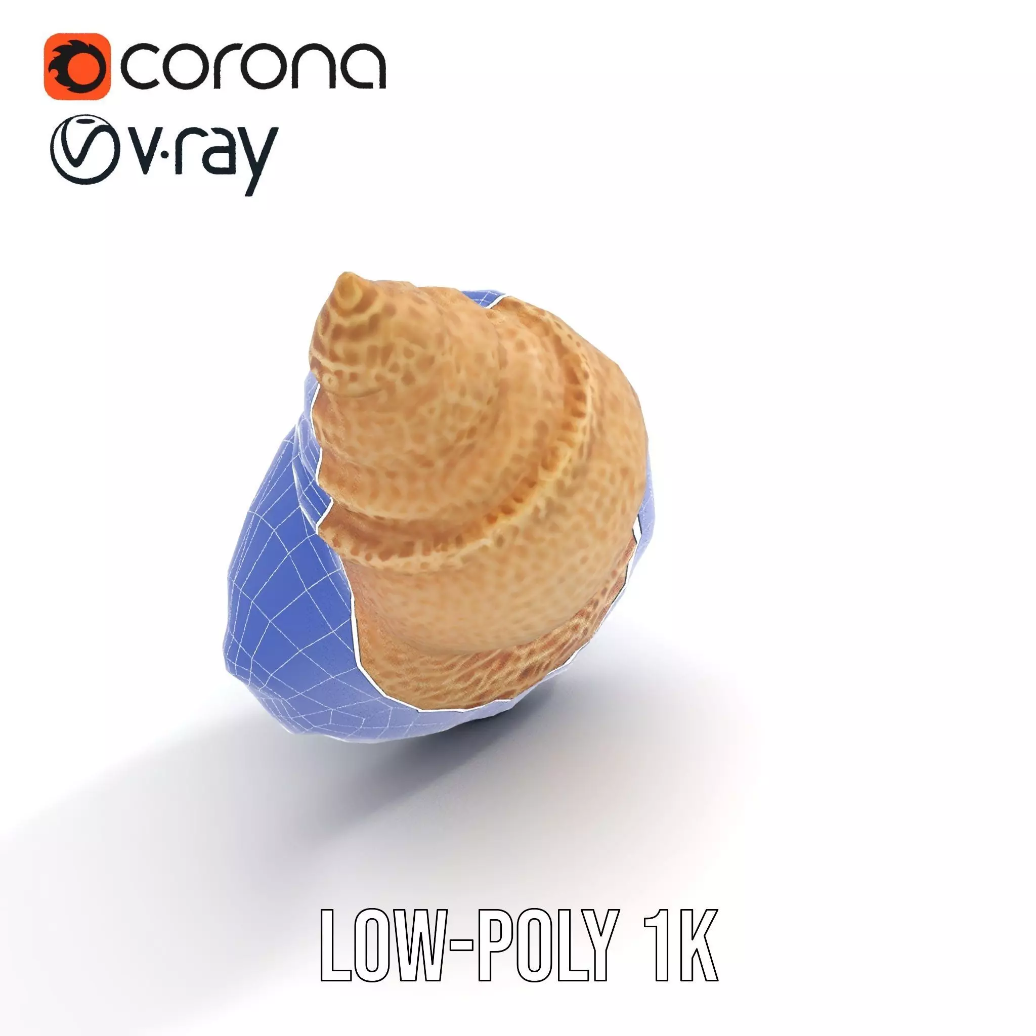 Textured Ocean Shell model pack Texture_25