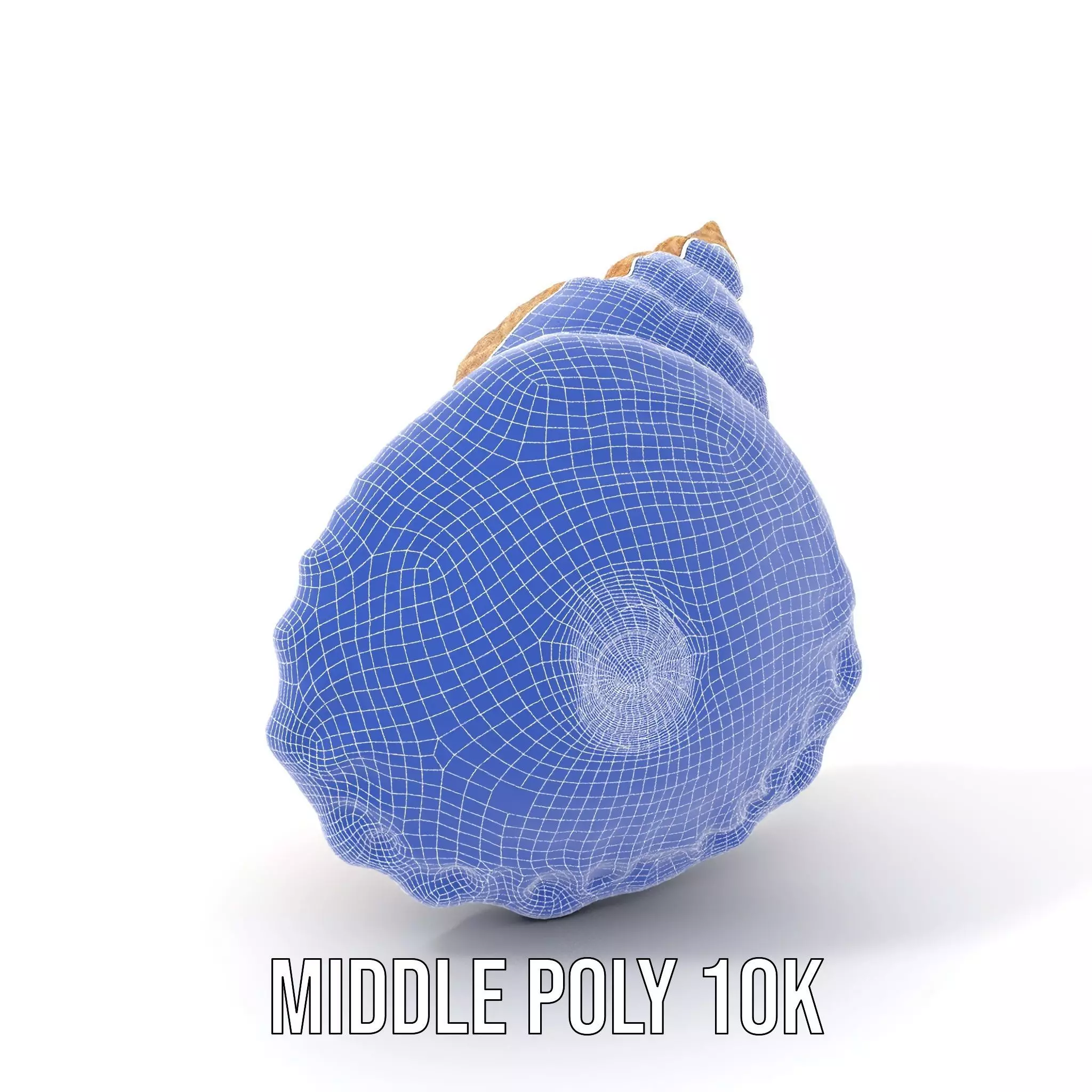 Textured Ocean Shell model pack Texture_22