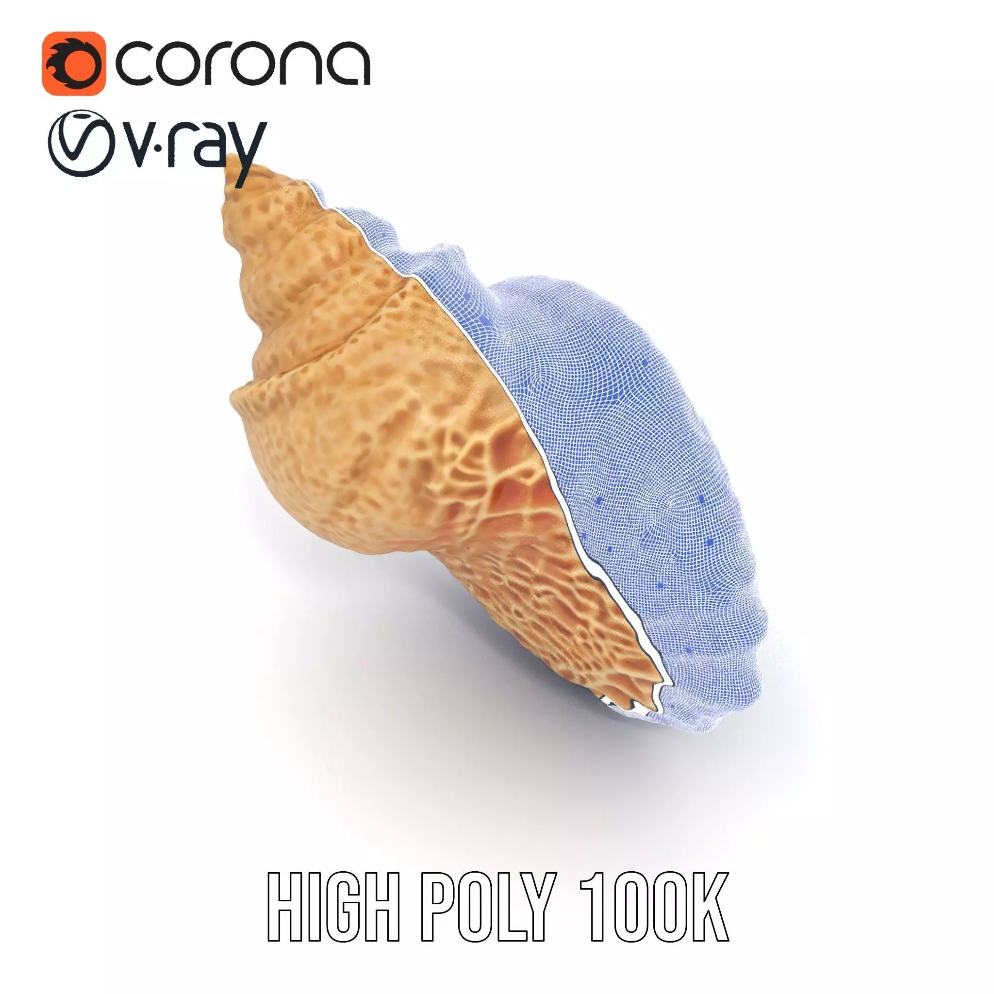 Textured Ocean Shell model pack Texture_34