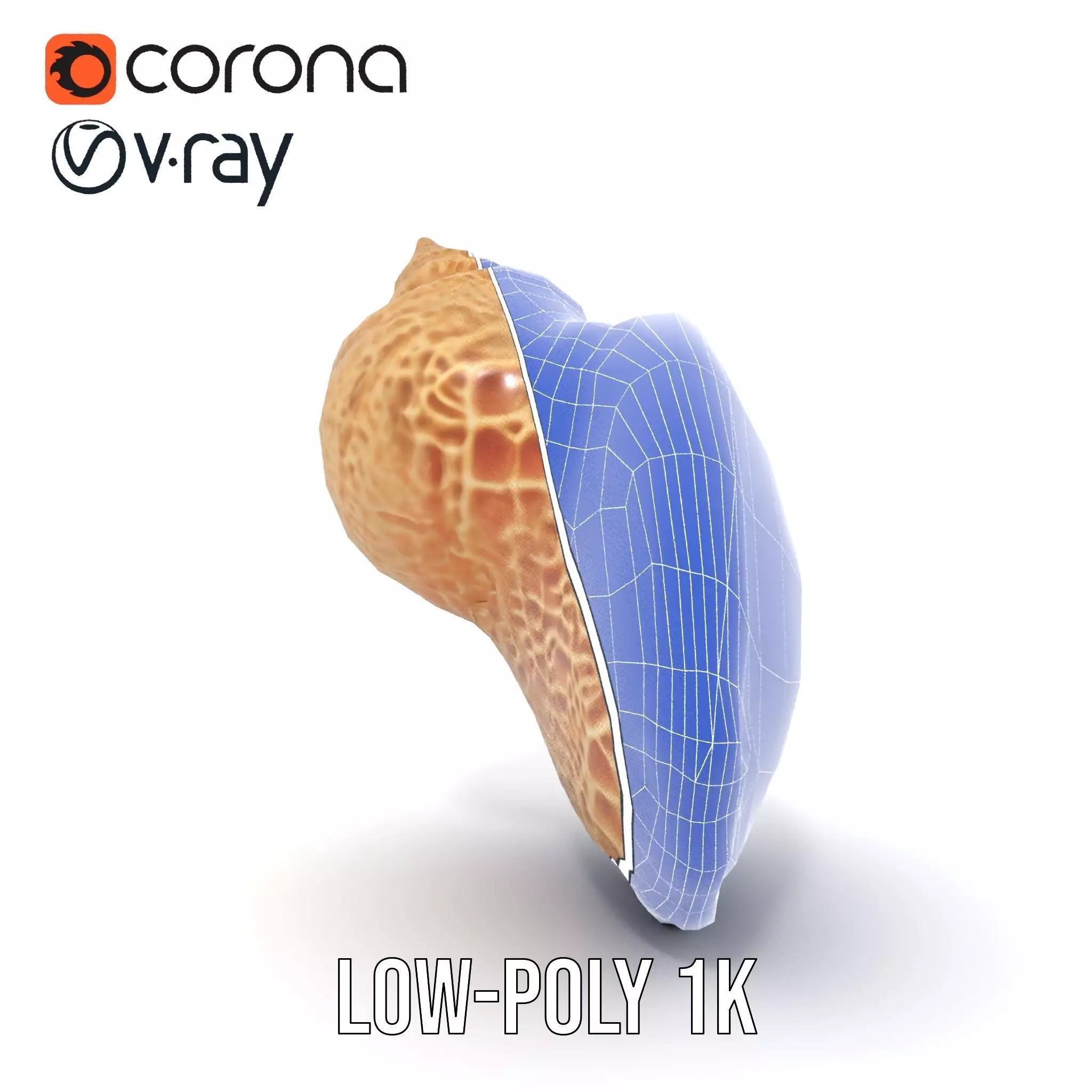 Textured Ocean Shell model pack Texture_20