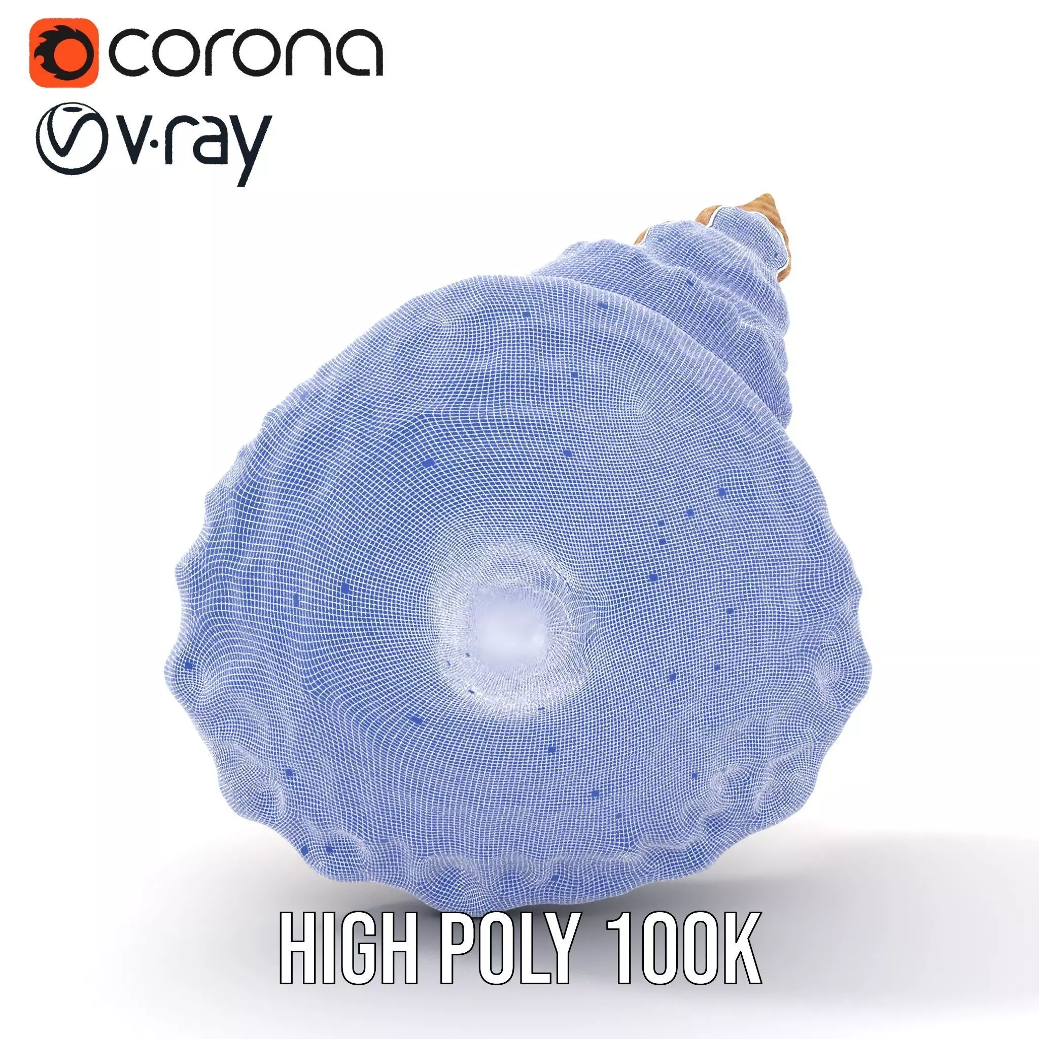 Textured Ocean Shell model pack Texture_33