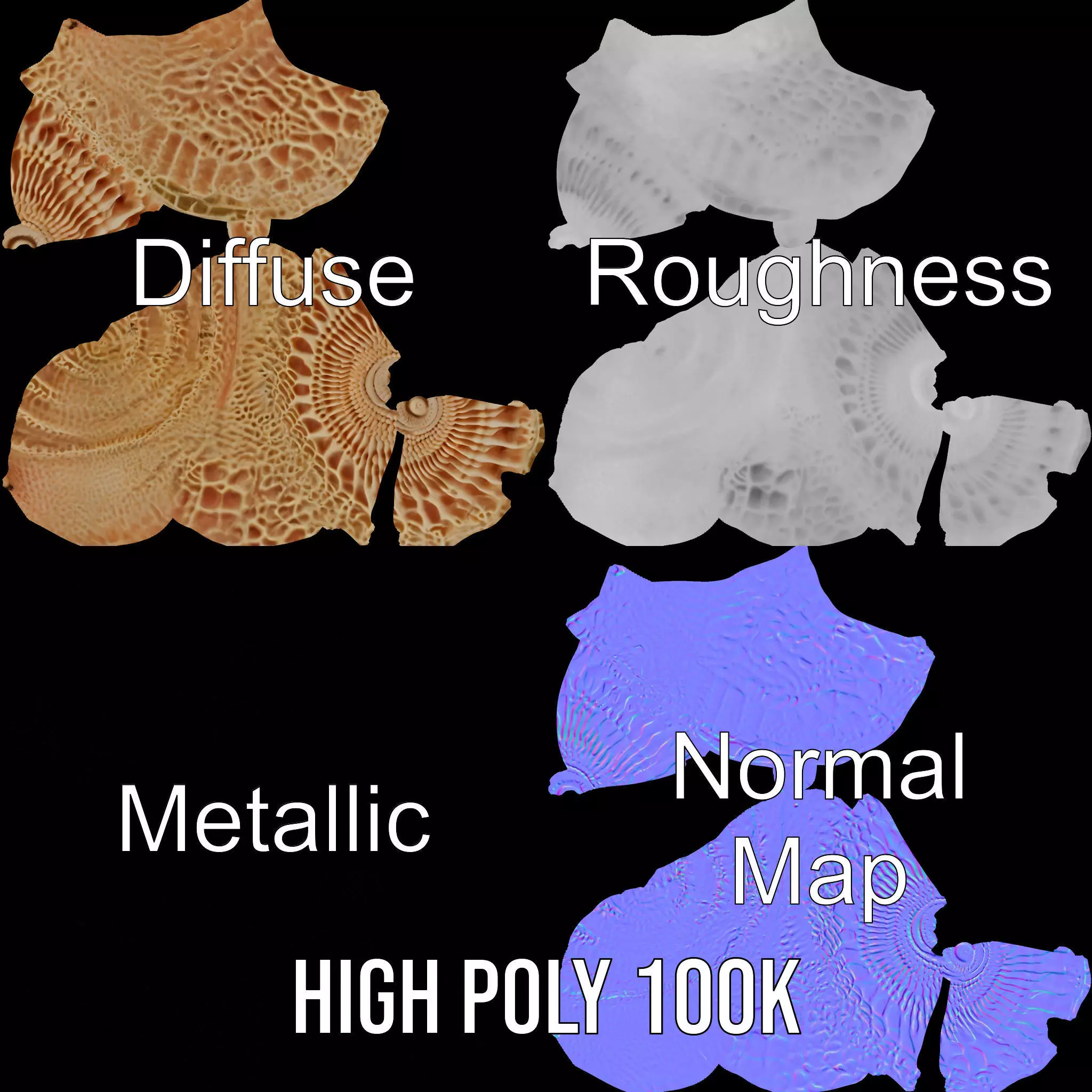 Textured Ocean Shell model pack Texture_4