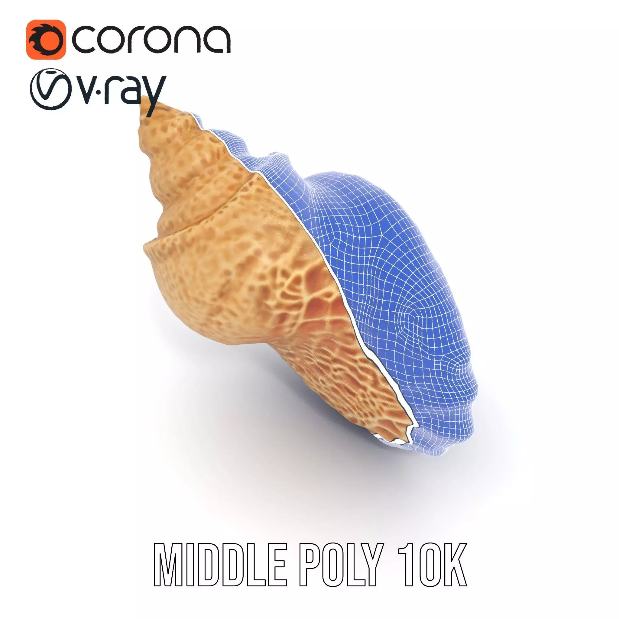 Textured Ocean Shell model pack Texture_19