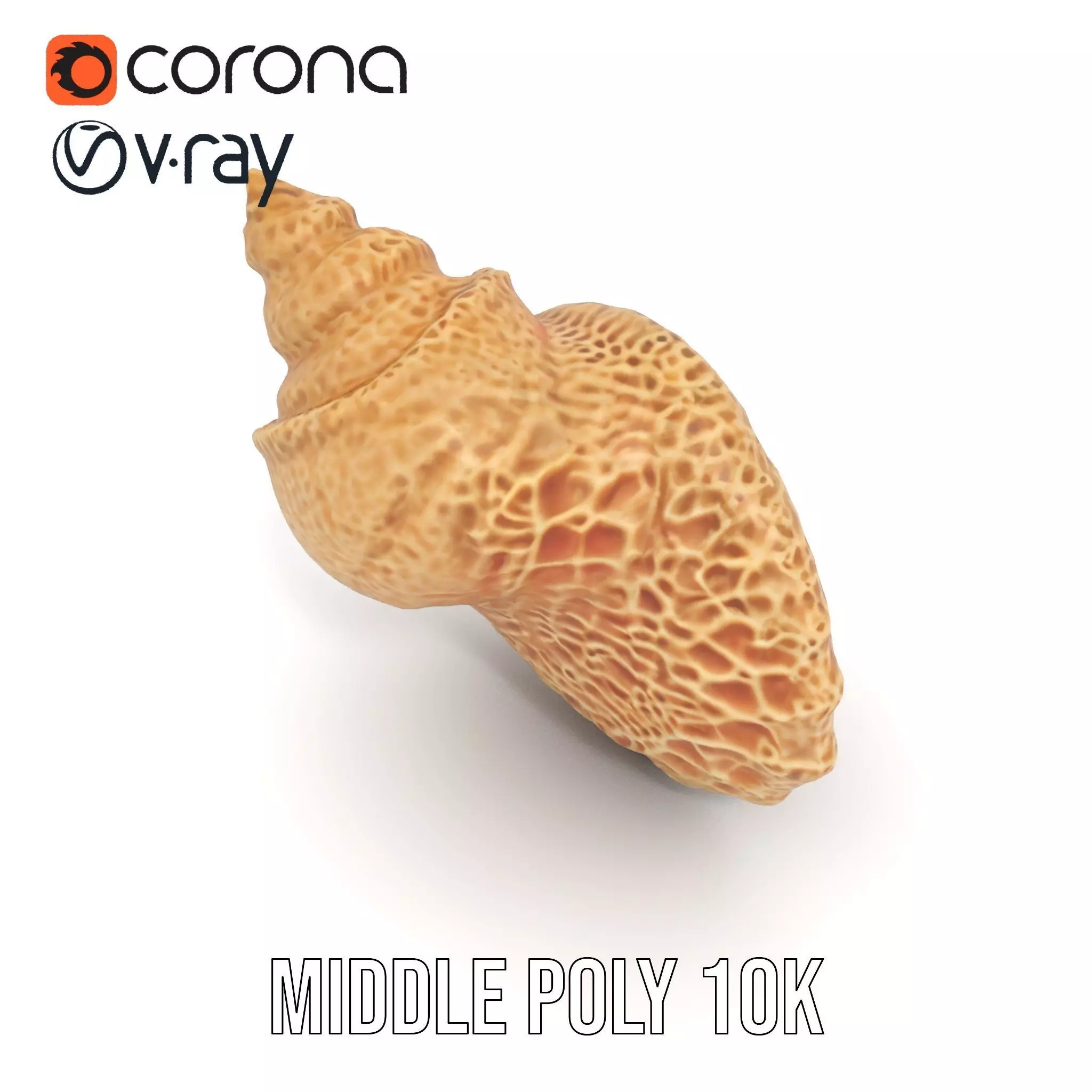 Textured Ocean Shell model pack Texture_14