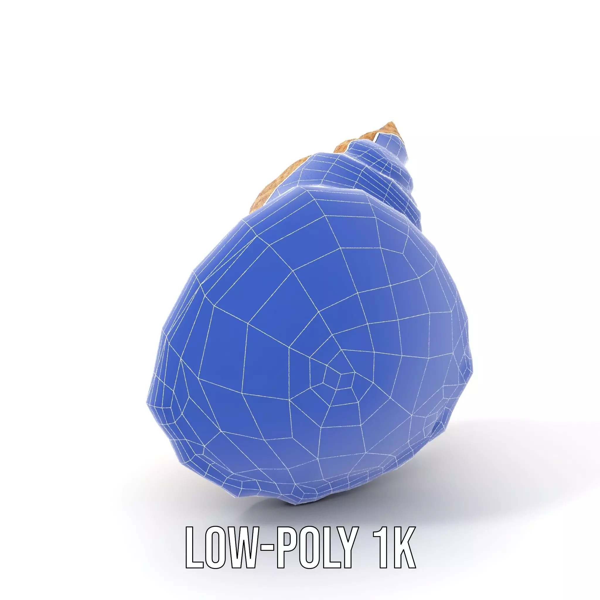 Textured Ocean Shell model pack Texture_28