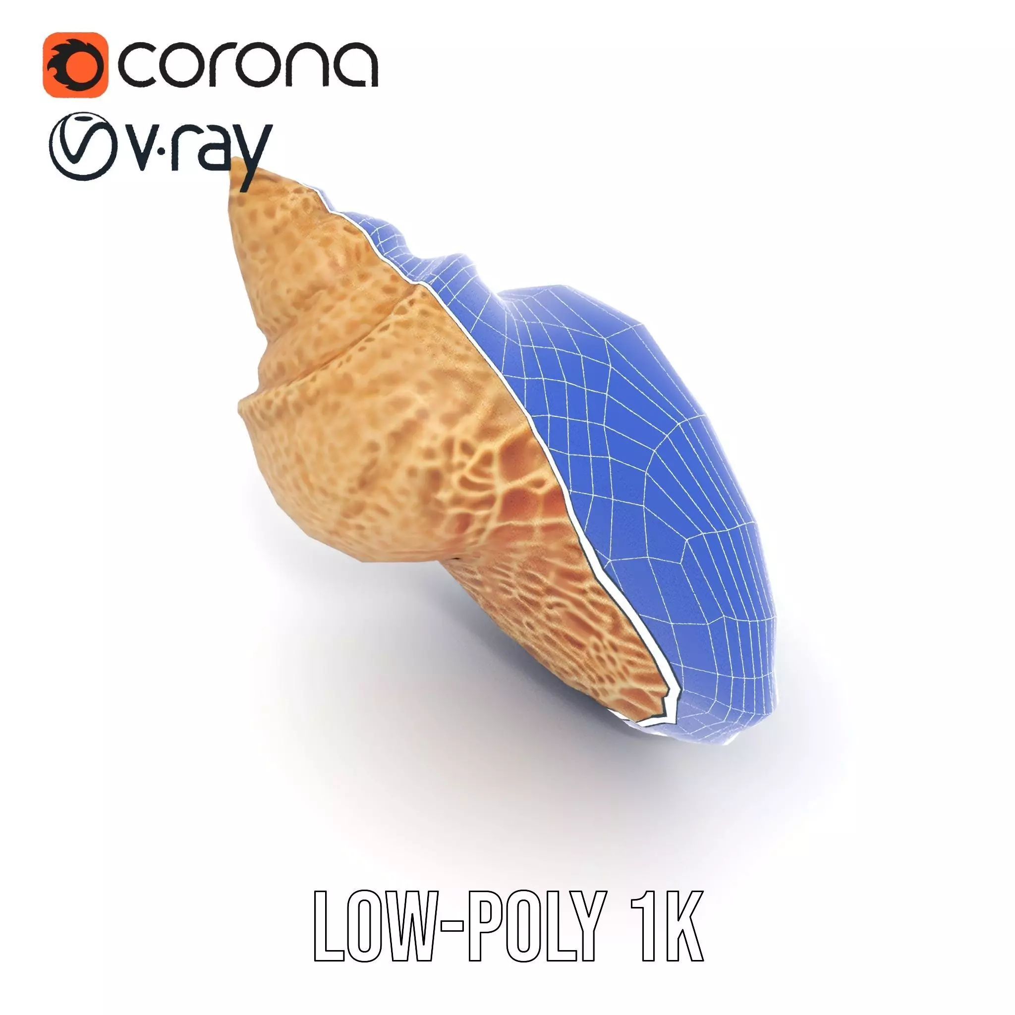 Textured Ocean Shell model pack Texture_23