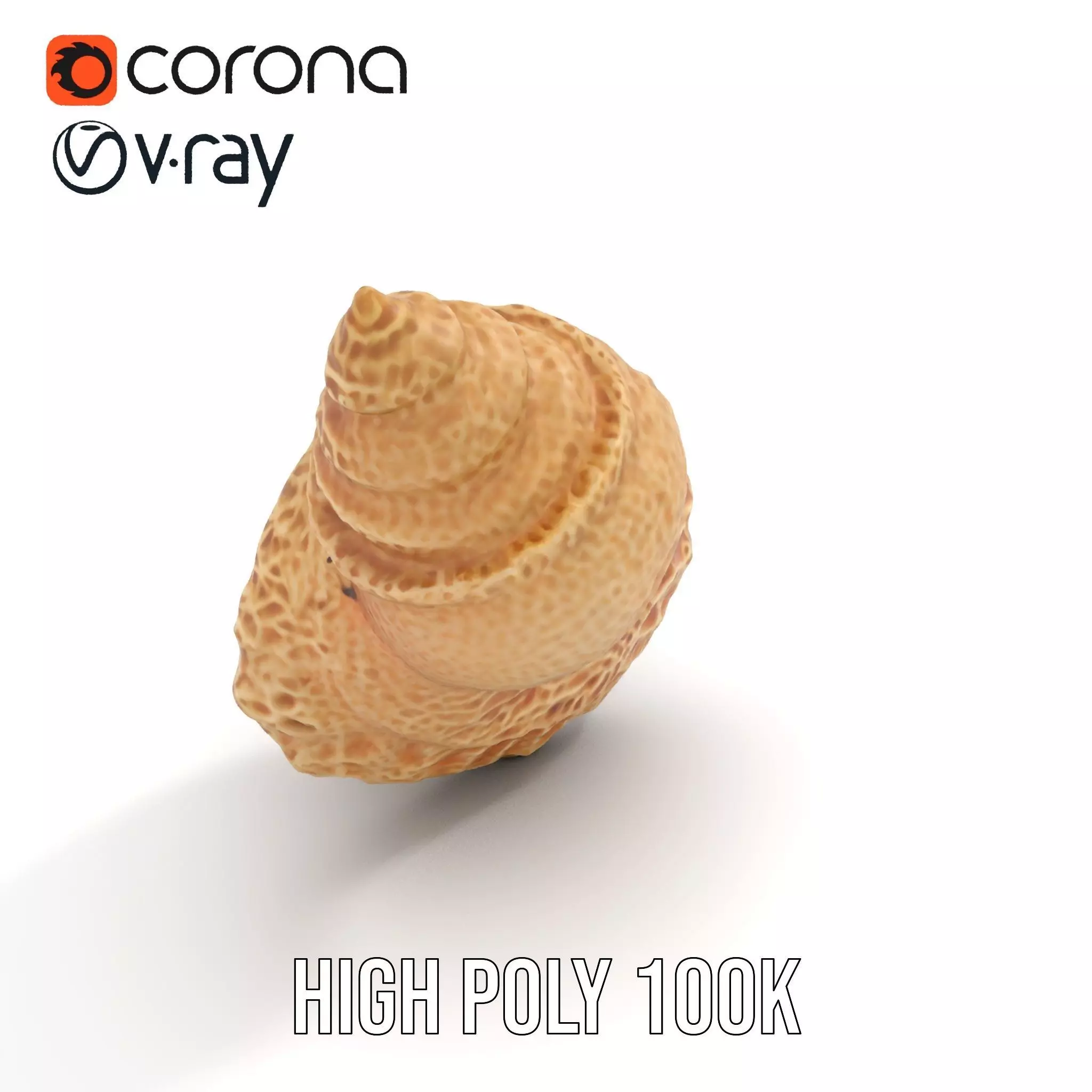 Textured Ocean Shell model pack Texture_21