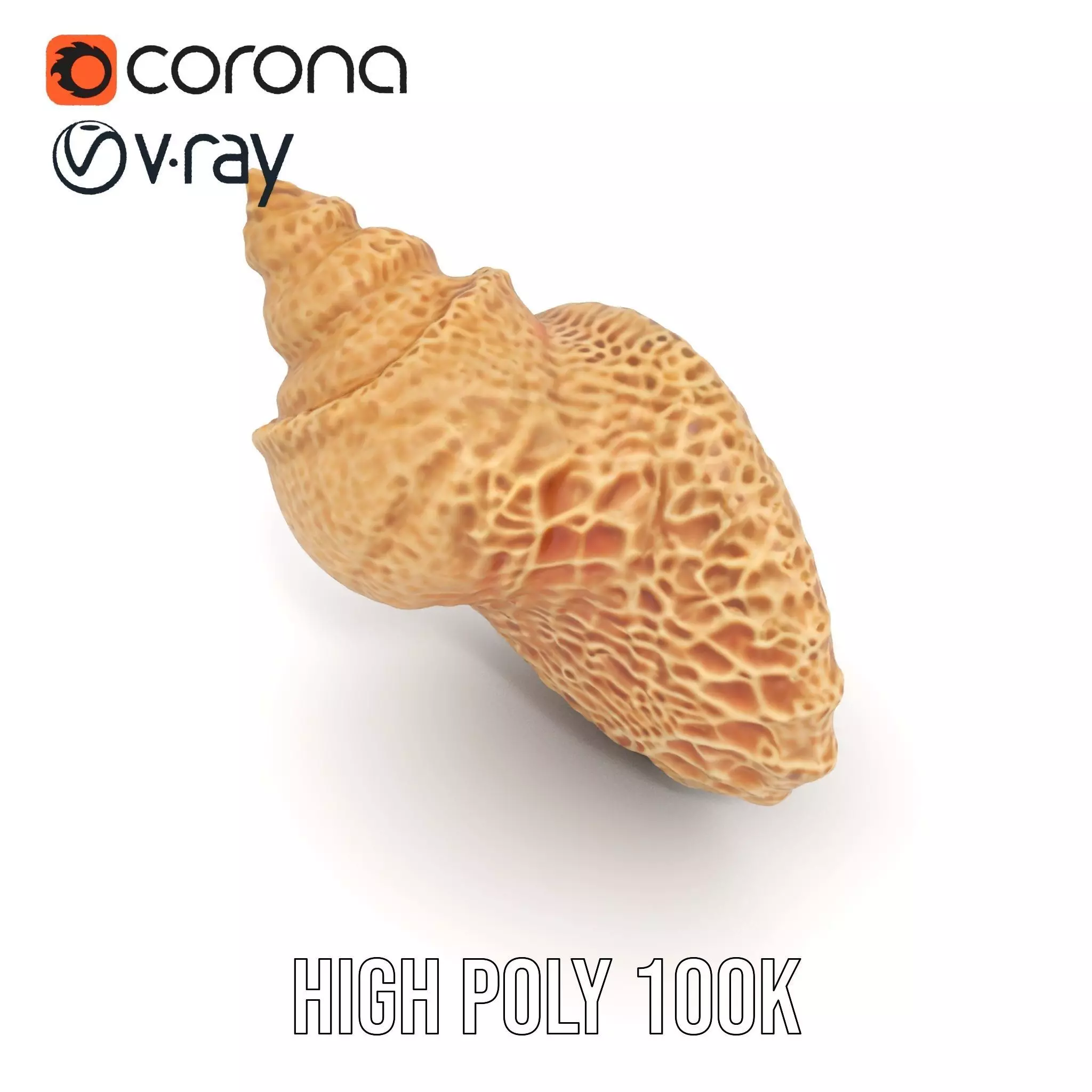 Textured Ocean Shell model pack Texture_26