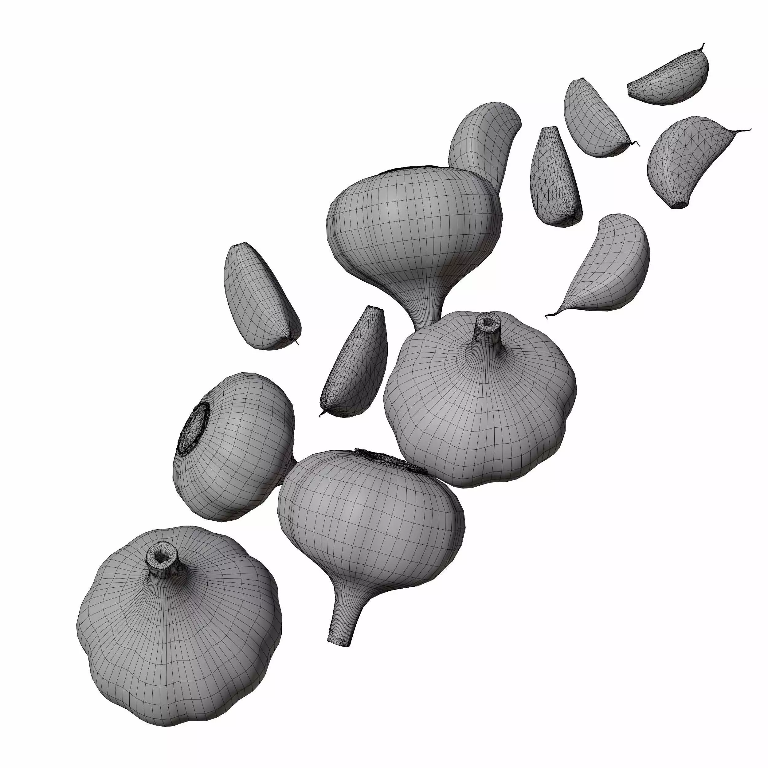 Garlic full and half 3D model_7