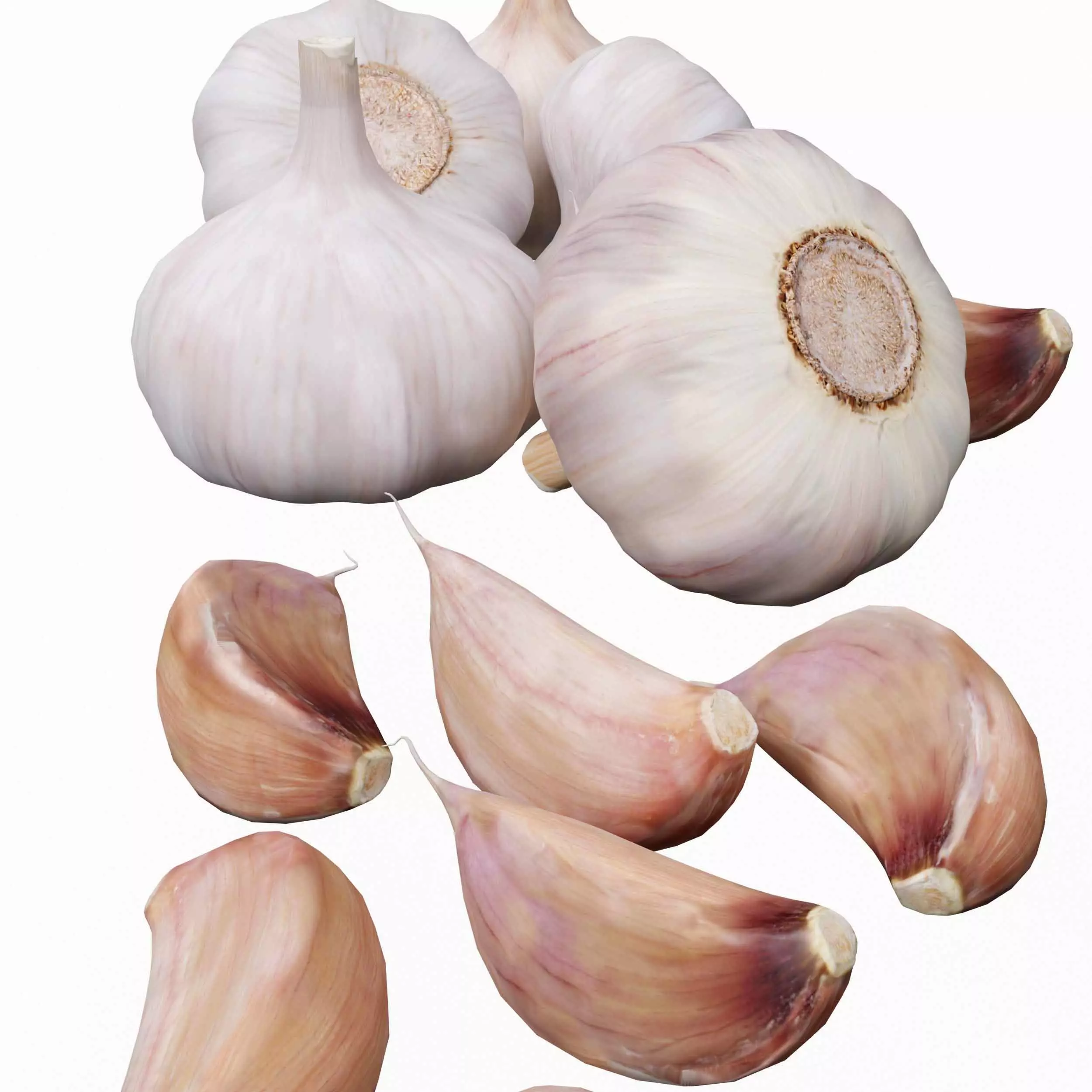 Garlic full and half 3D model_3