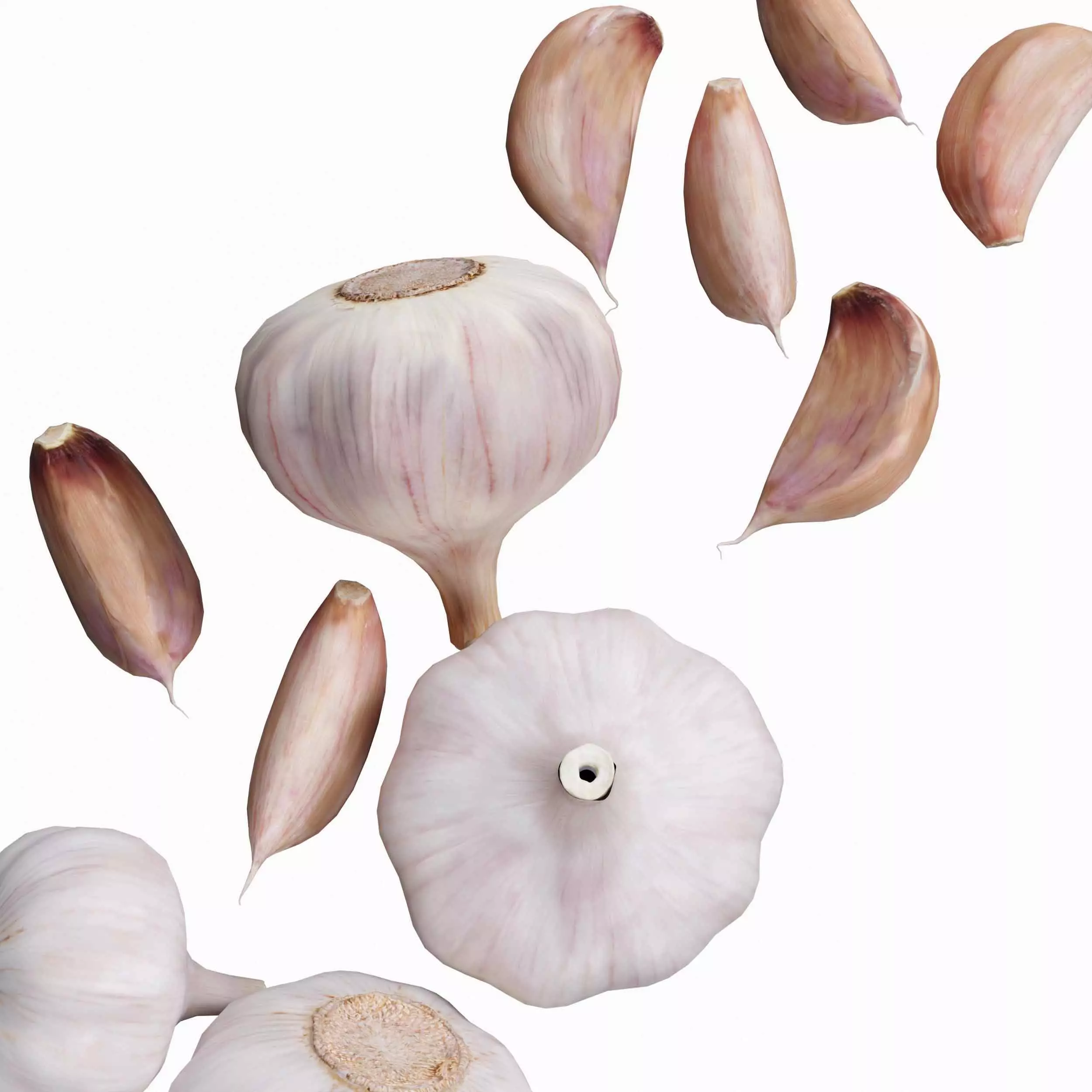 Garlic full and half 3D model_1