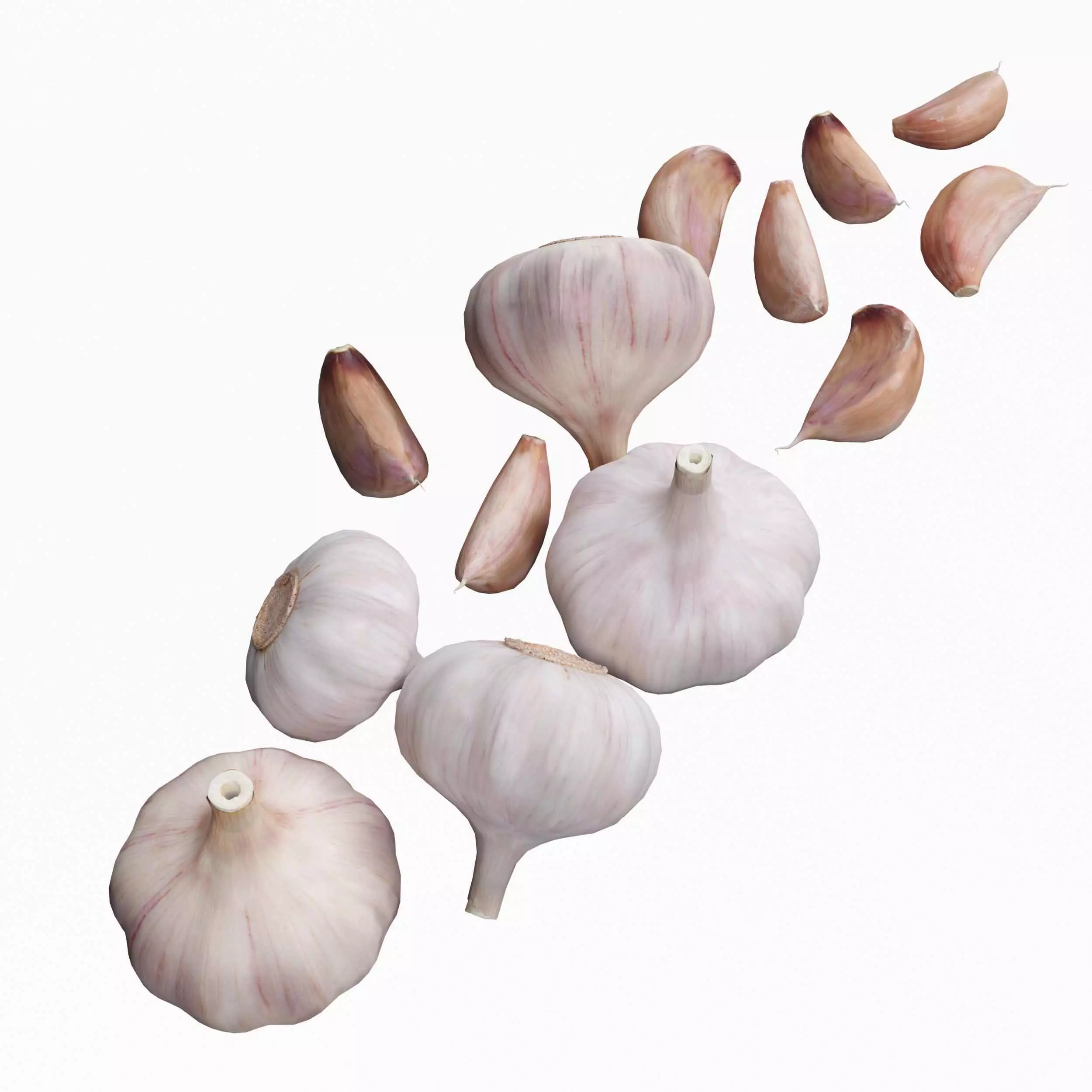 Garlic full and half 3D model_0