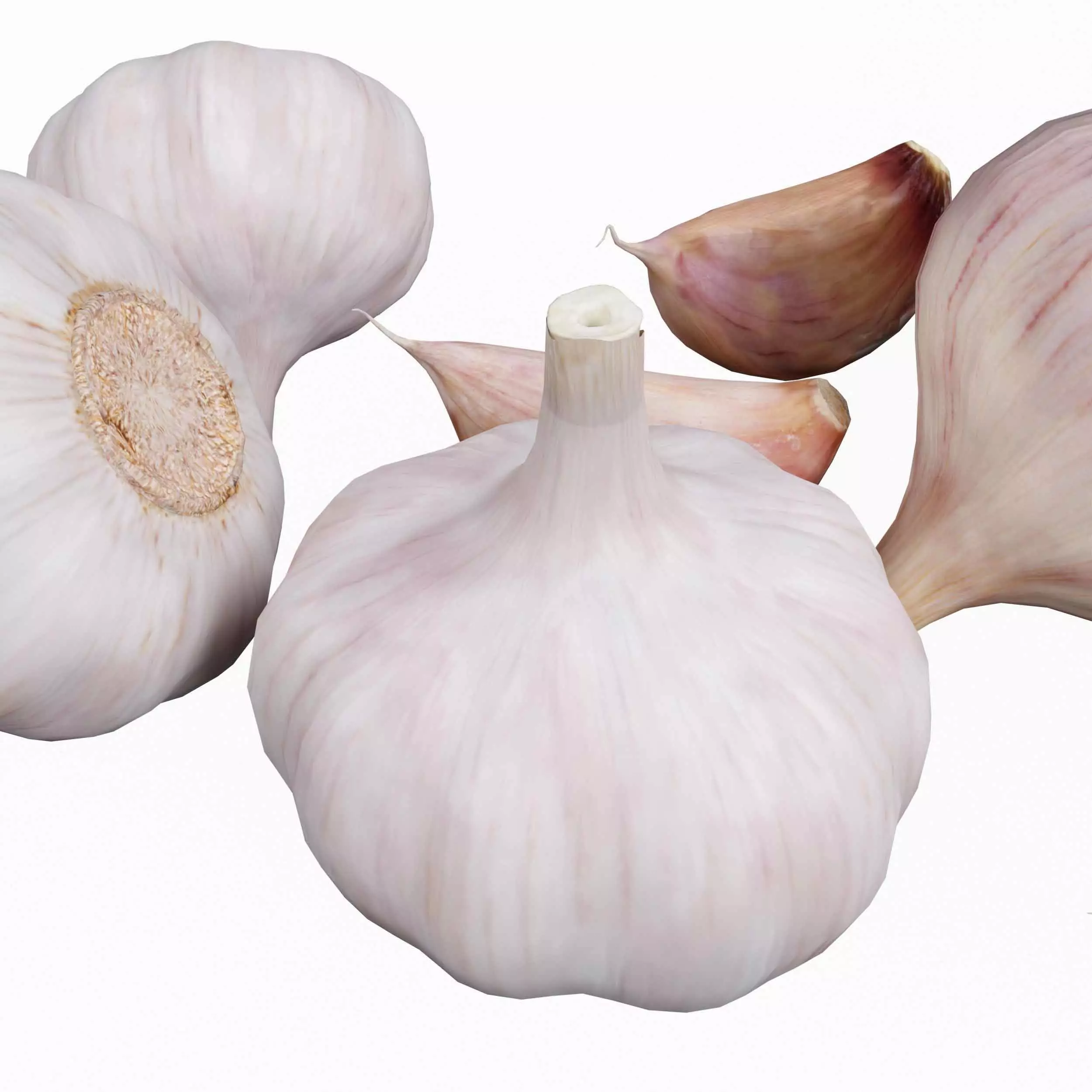 Garlic full and half 3D model_2