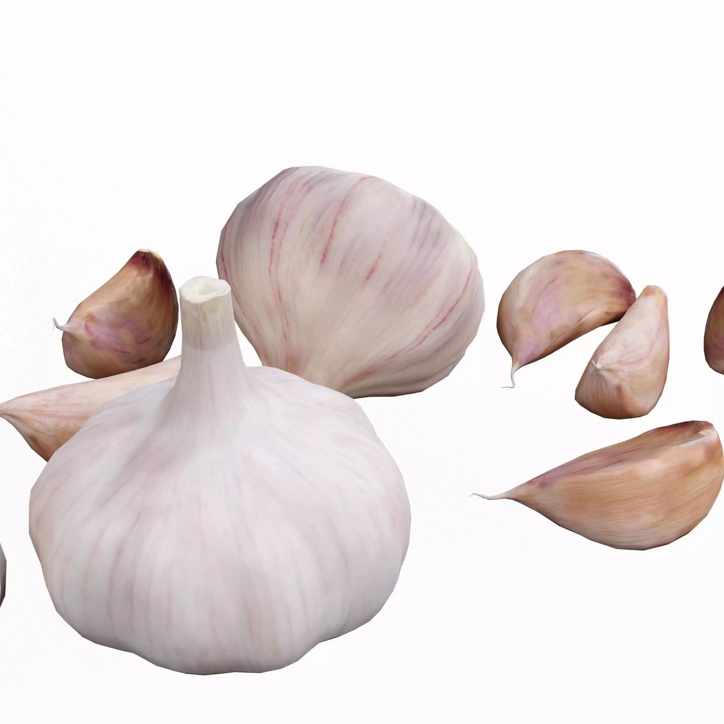 Garlic full and half 3D model_4