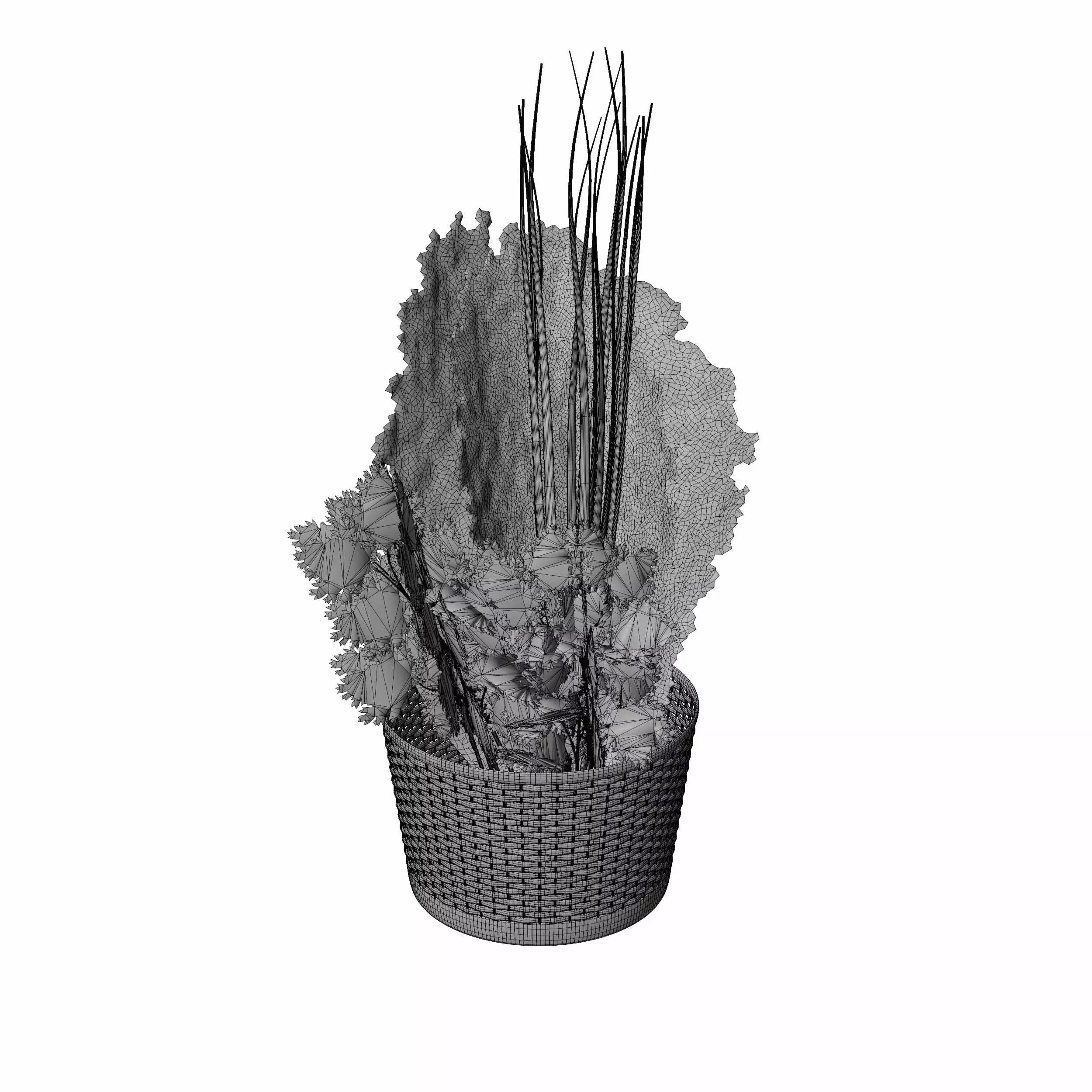 Leafy Greens 3D model_4