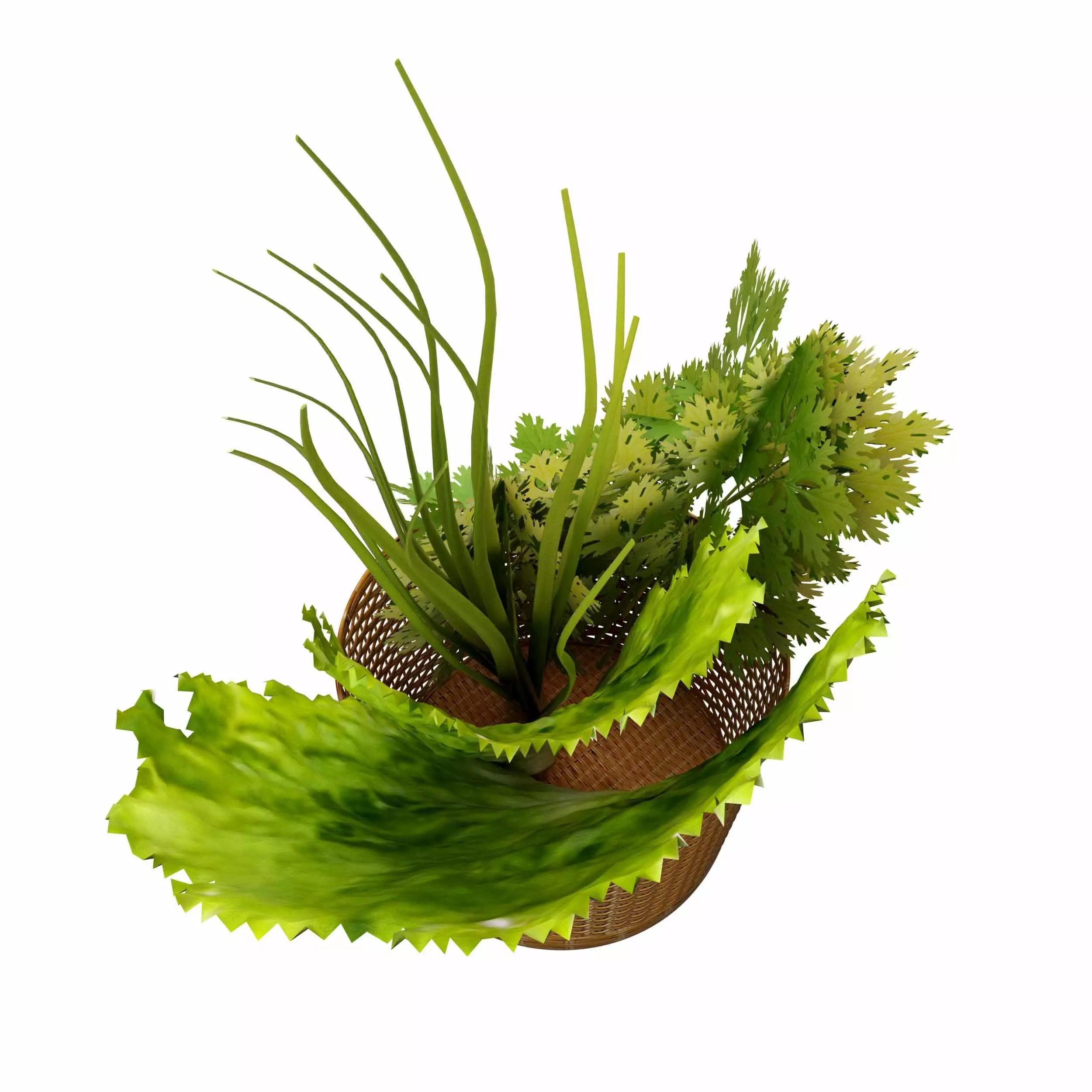 Leafy Greens 3D model_3