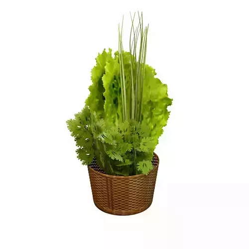 Leafy Greens 3D model Leafy Greens 3D model