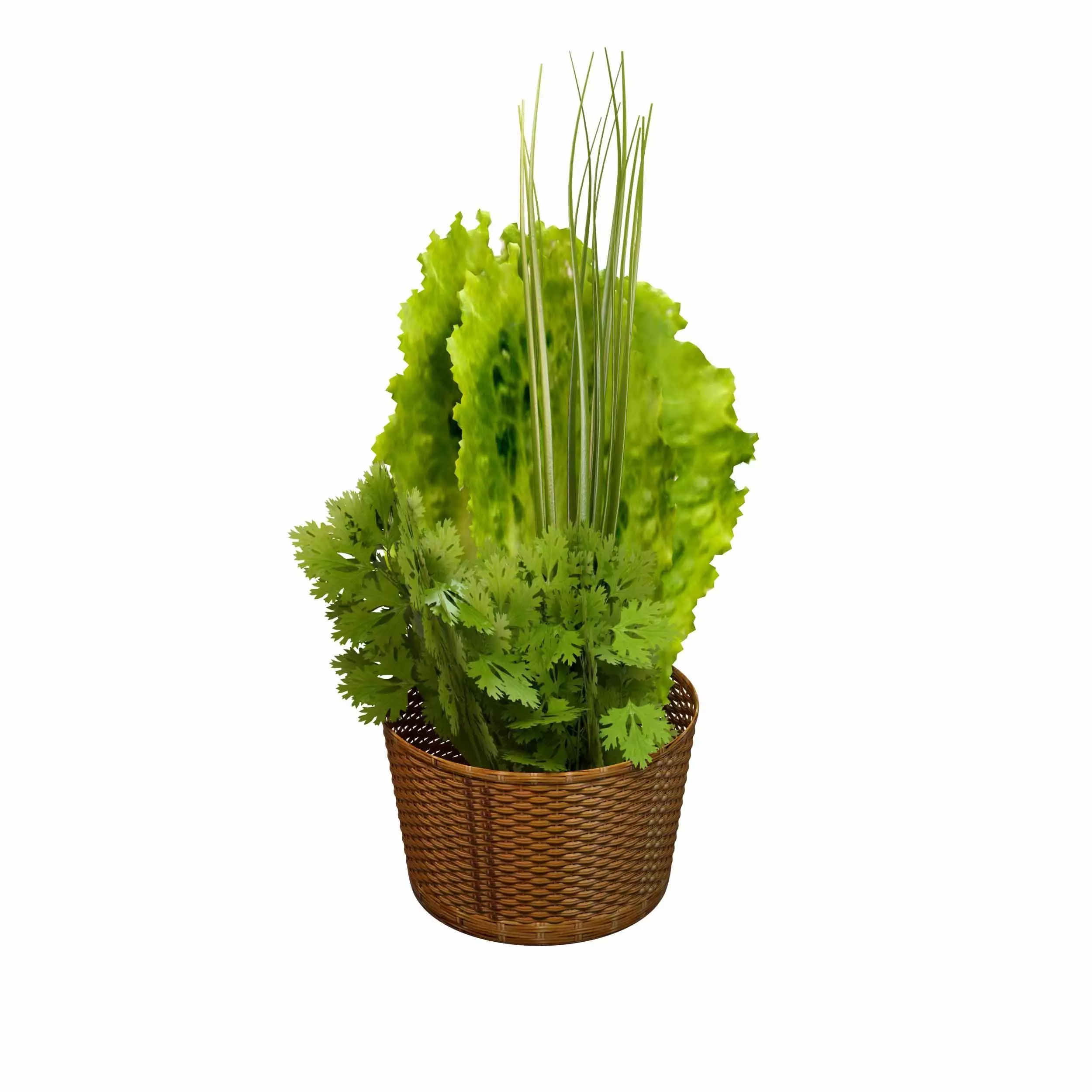 Leafy Greens 3D model_0