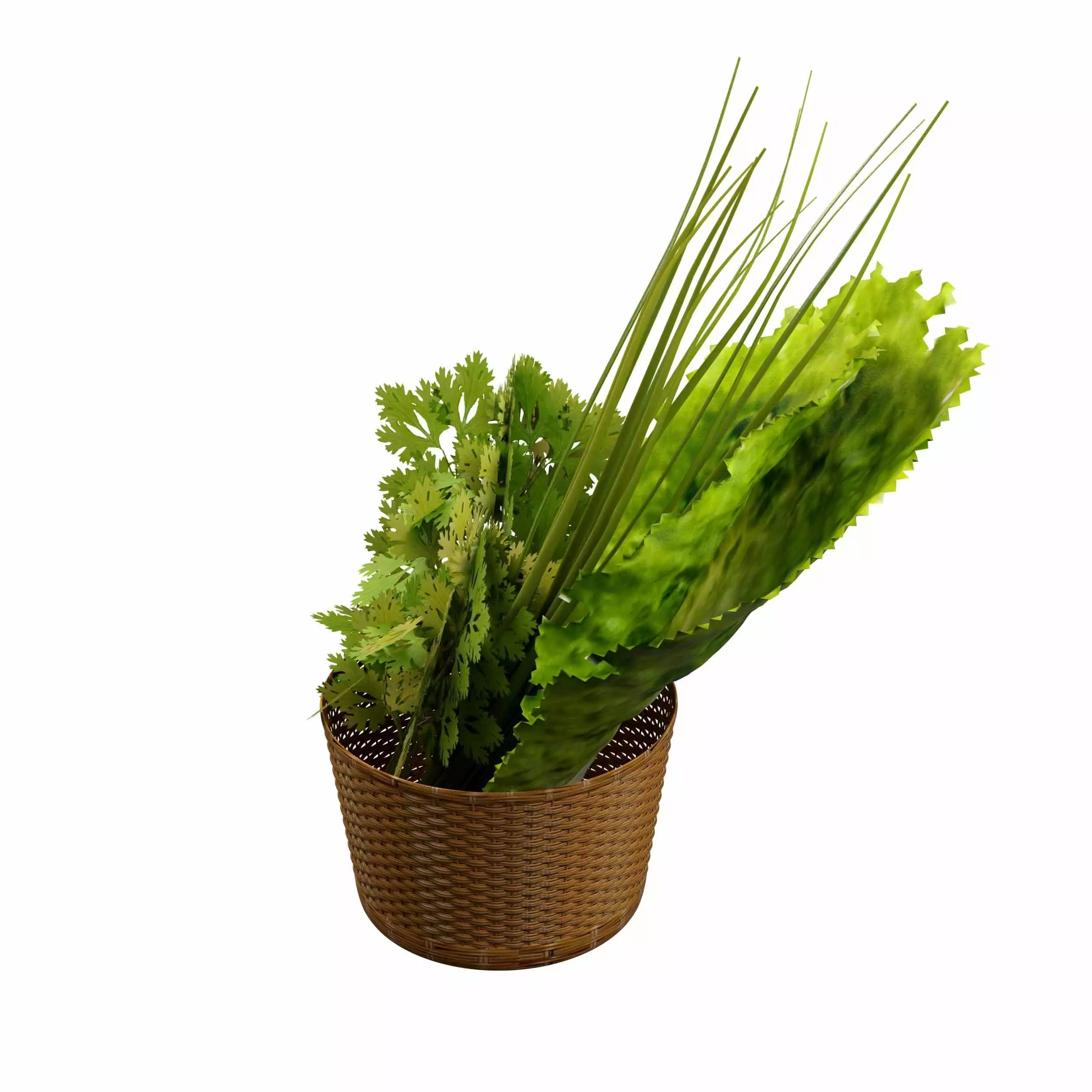 Leafy Greens 3D model_1