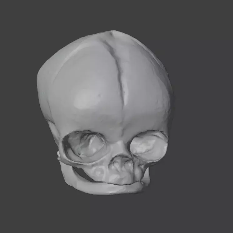 Stylized Baby Skull STL  3D print model_1