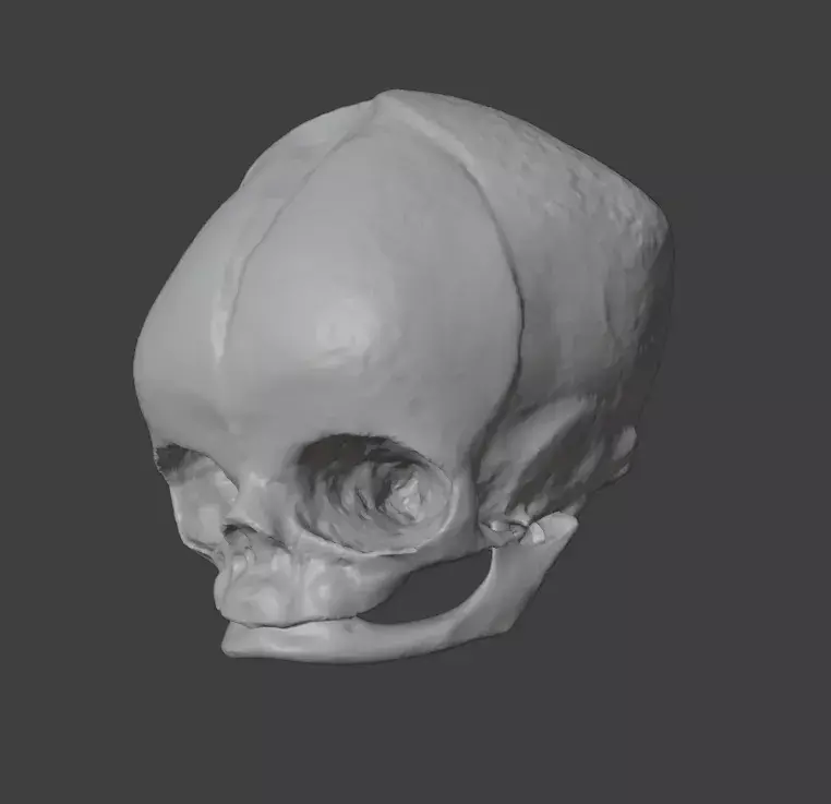 Stylized Baby Skull STL  3D print model_3