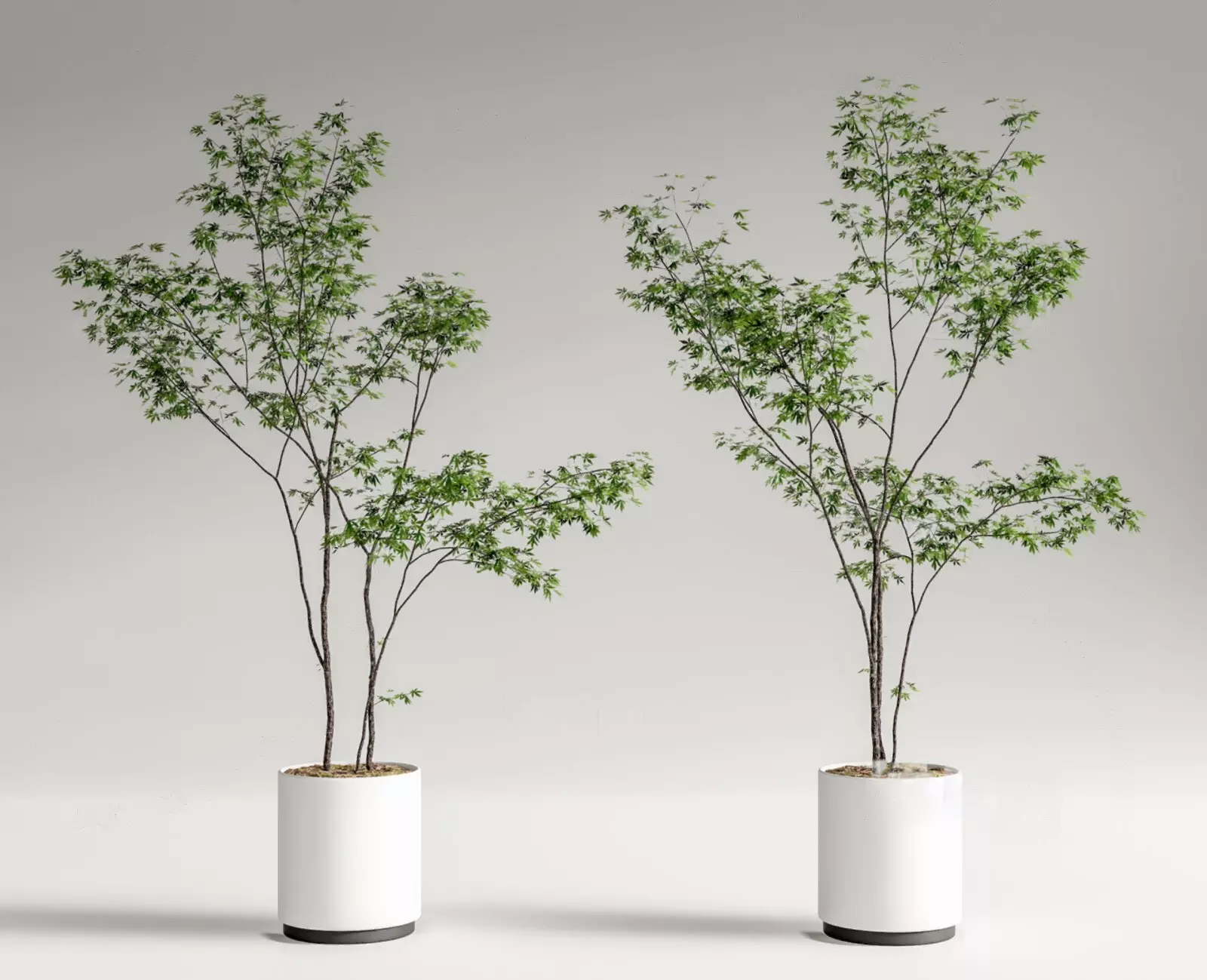 Modern Potted Green Tree 3D Model Collection 3D model_0