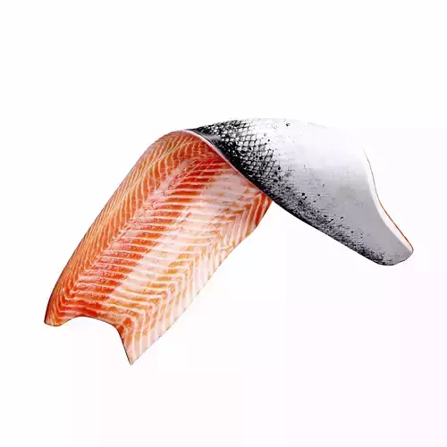 Salmon Filet 3D model