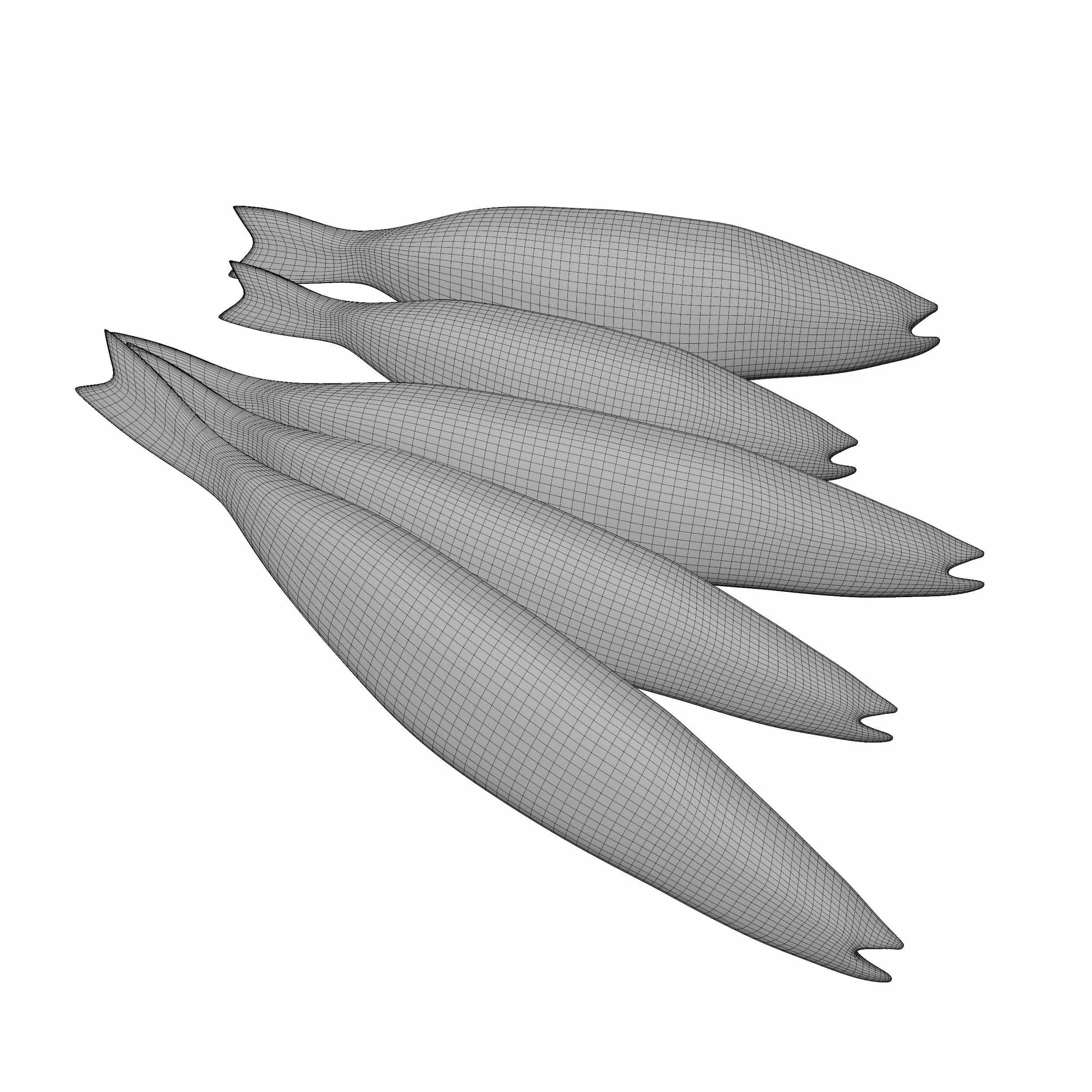 Seabass Fish 3D model_4