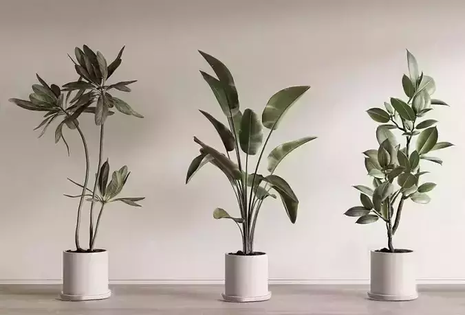 Modern Potted Green Plant Collection 3D Model